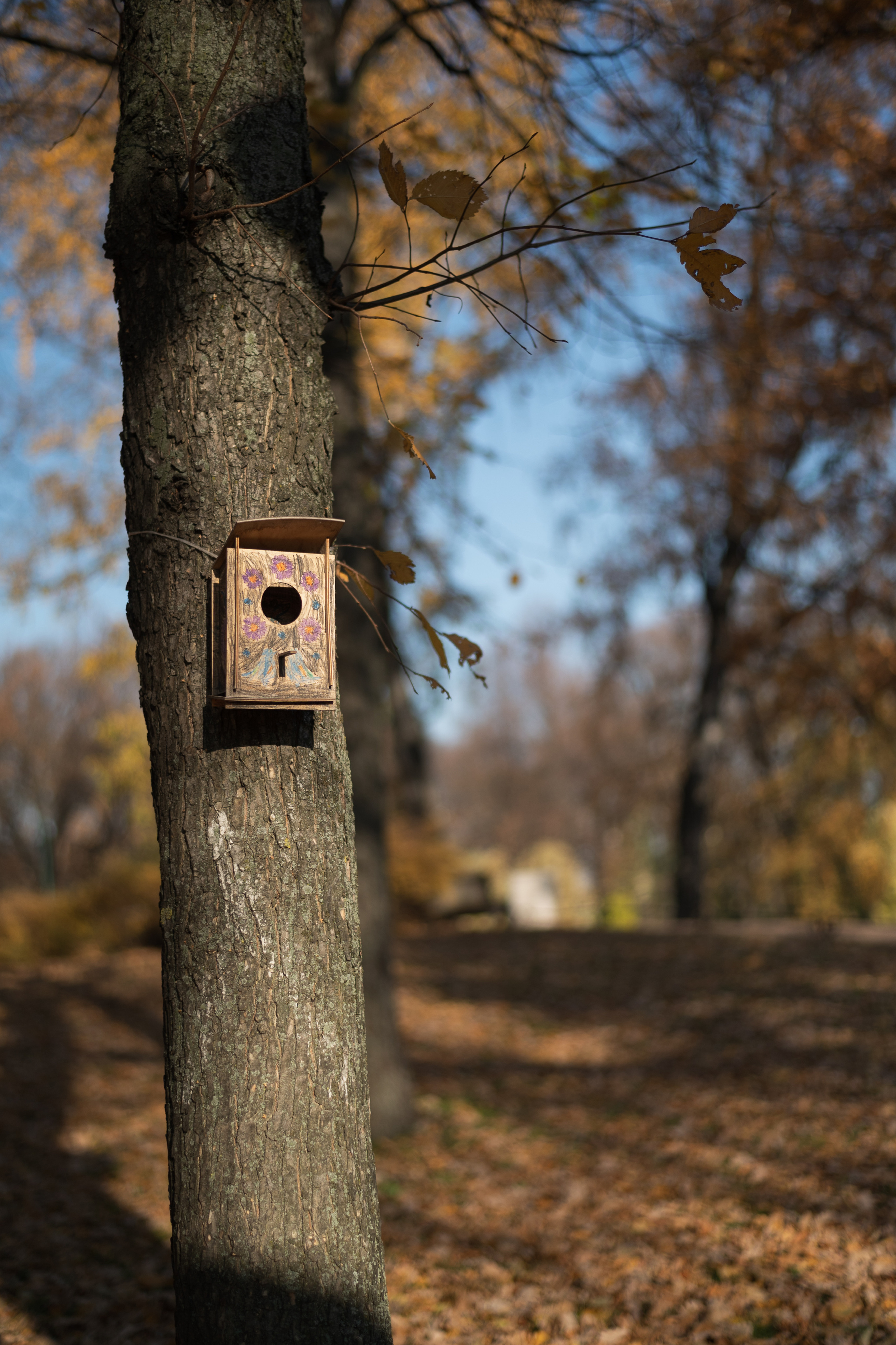 Свадебный фотограф. Свадебная фотосессия в Санкт-Петербурге и Моске. Событийный фотограф в Санкт — Петербурге Elena Ushakova