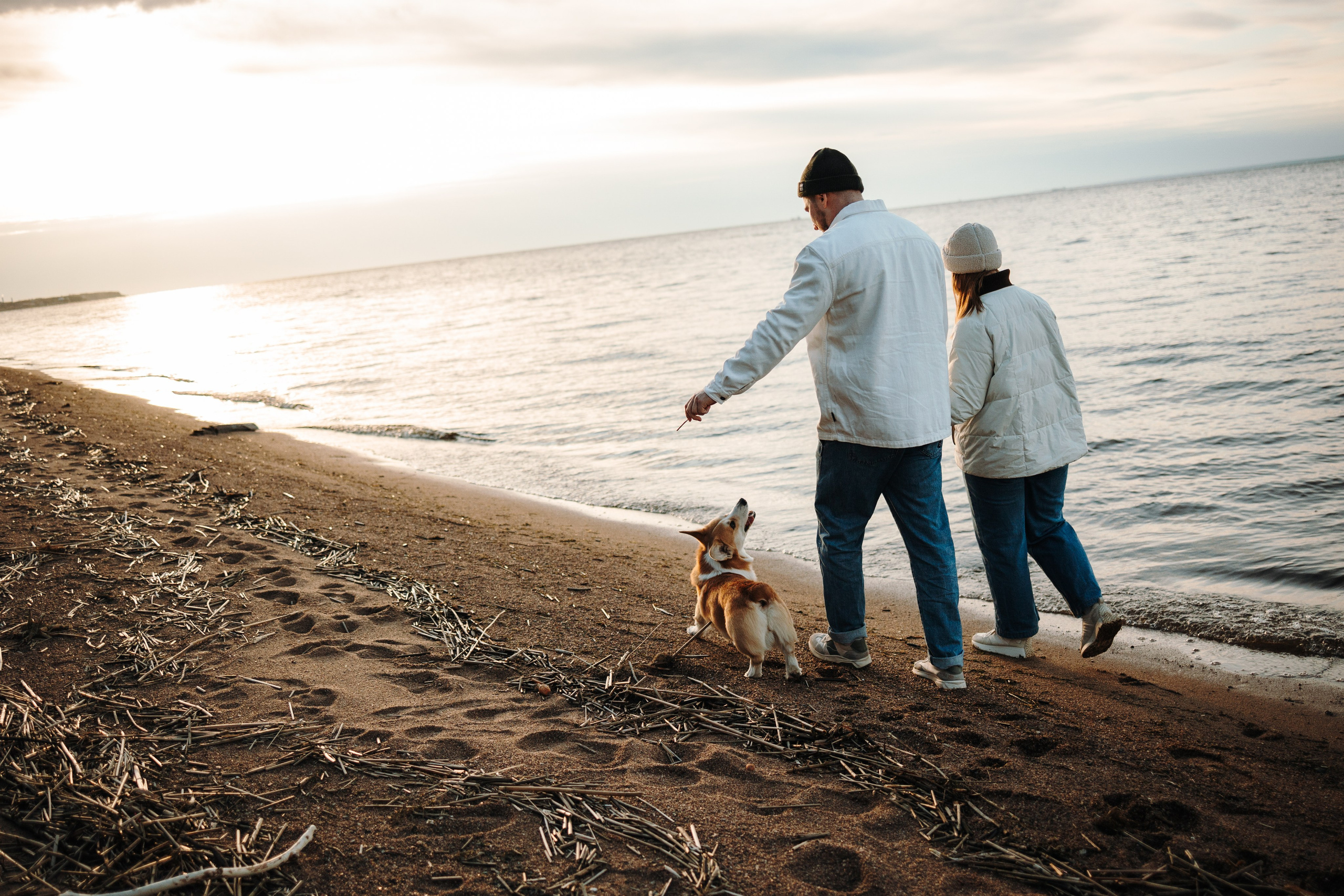 Найт и его семья. Фотограф — Анималист | Санкт-Петербург