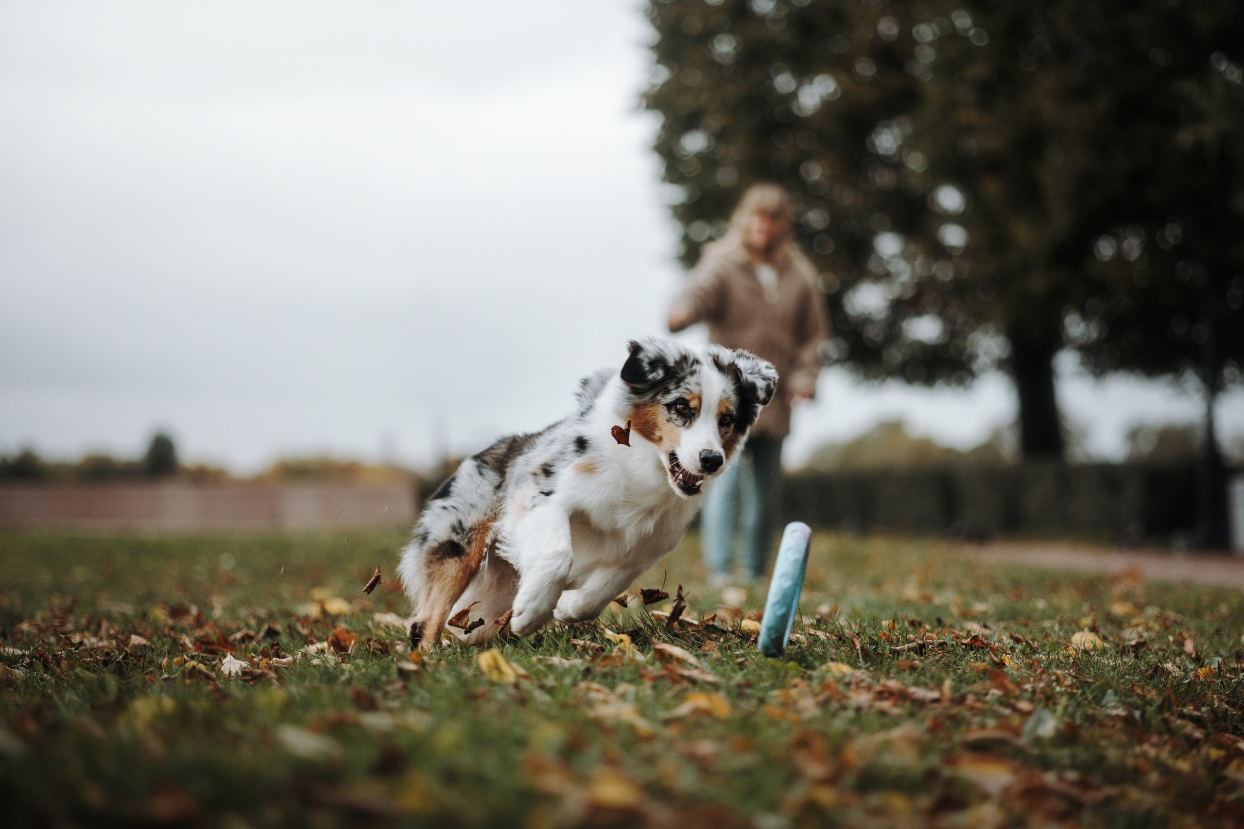 Ирина и Кайса. Фотограф — Анималист | Санкт-Петербург