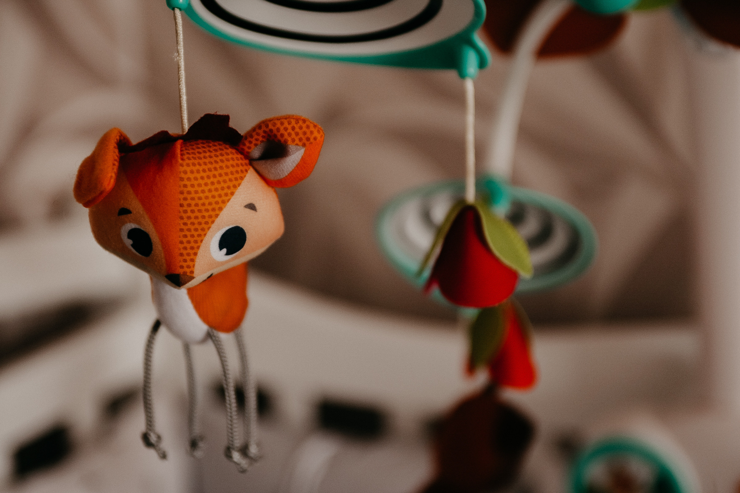 Орел-Стояновские. Свадебный и семейный фотограф во Владивостоке Александра Глускер