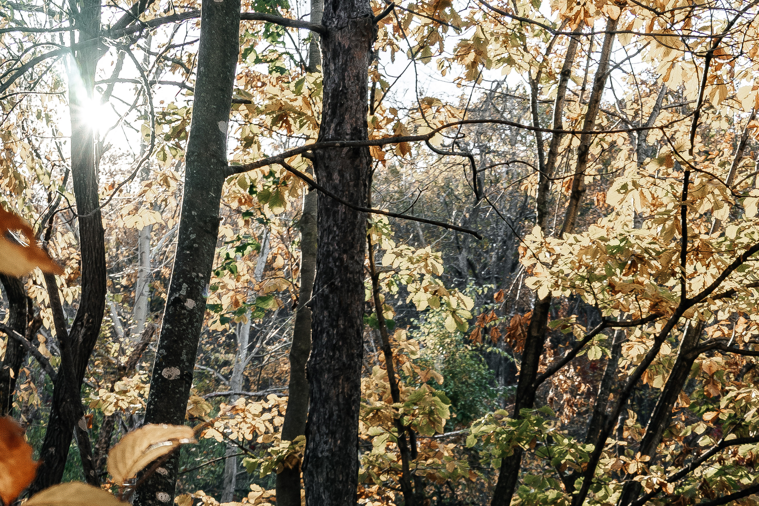 Александра и Алексей. Свадебный и семейный фотограф во Владивостоке Александра Глускер