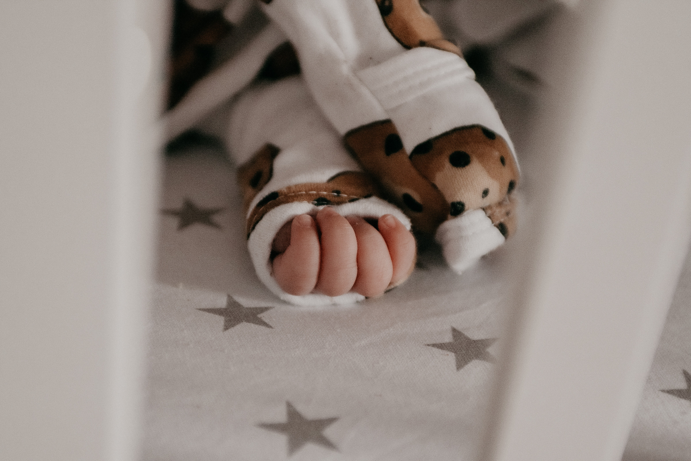 Орел-Стояновские. Свадебный и семейный фотограф во Владивостоке Александра Глускер