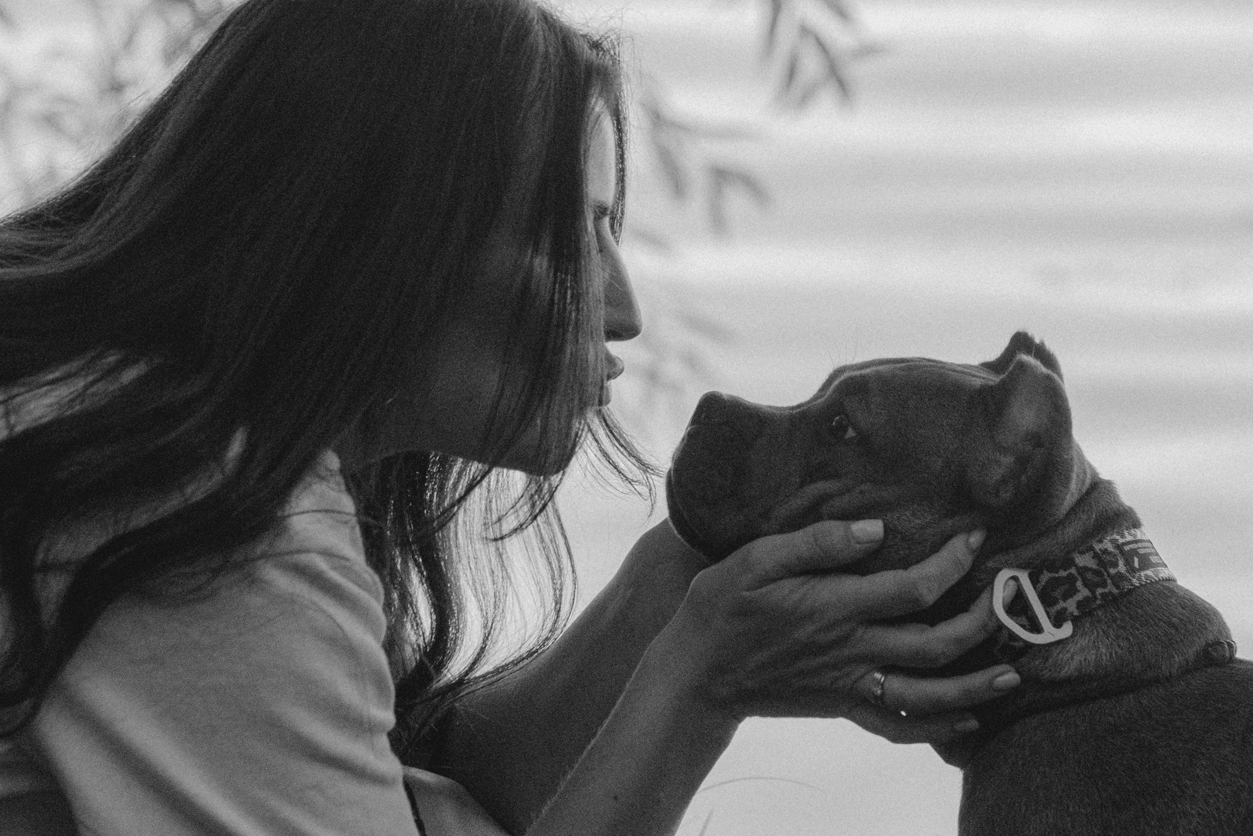 Кристина и Эфи. Фотограф анималист в Москве и Санкт-Петербурге Свиридова Анна