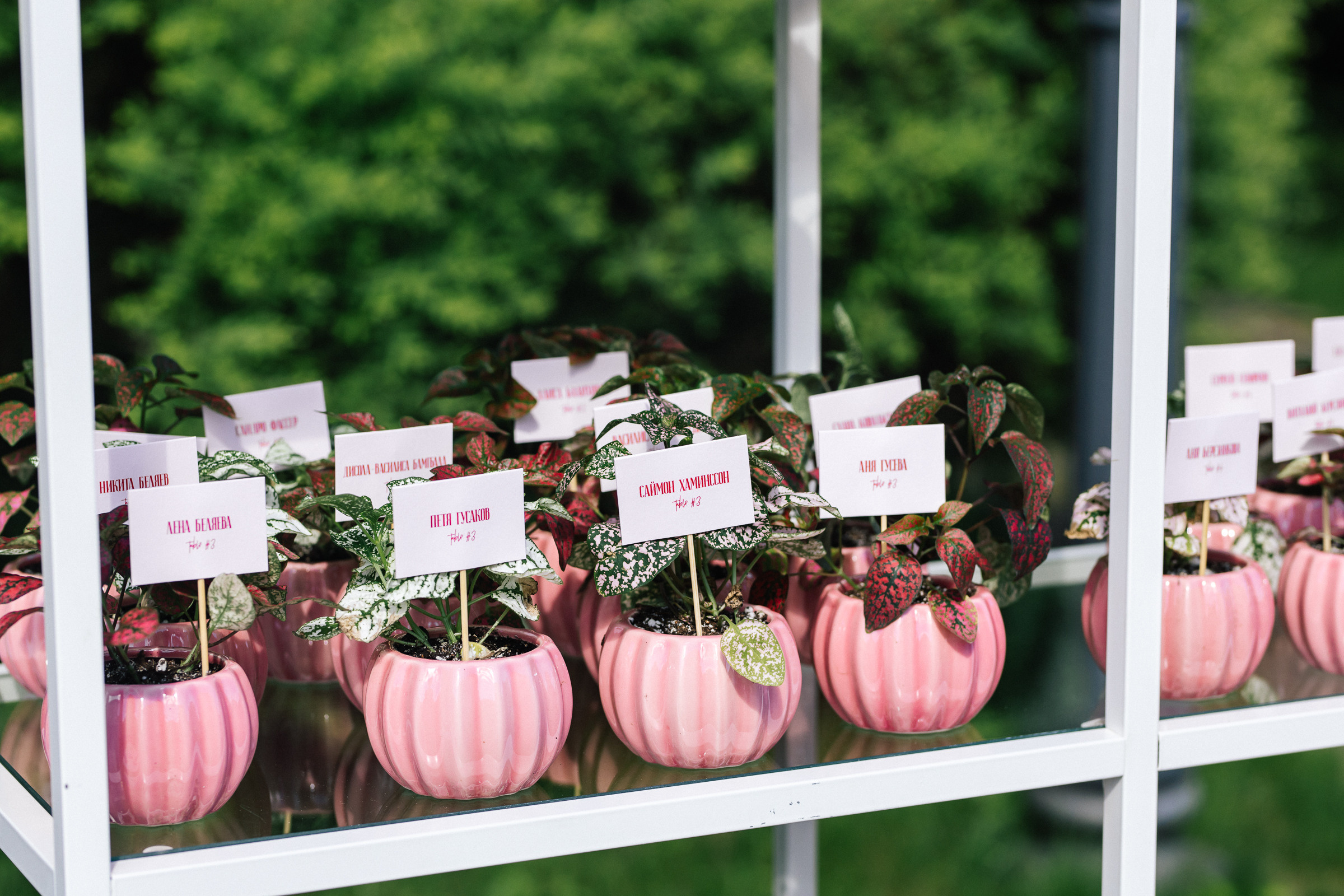 ПОД ОТКРЫТЫМ НЕБОМ ИЮНЯ. Анастасия Мелёхина Фотограф Москва, Свадебный фотограф Москва