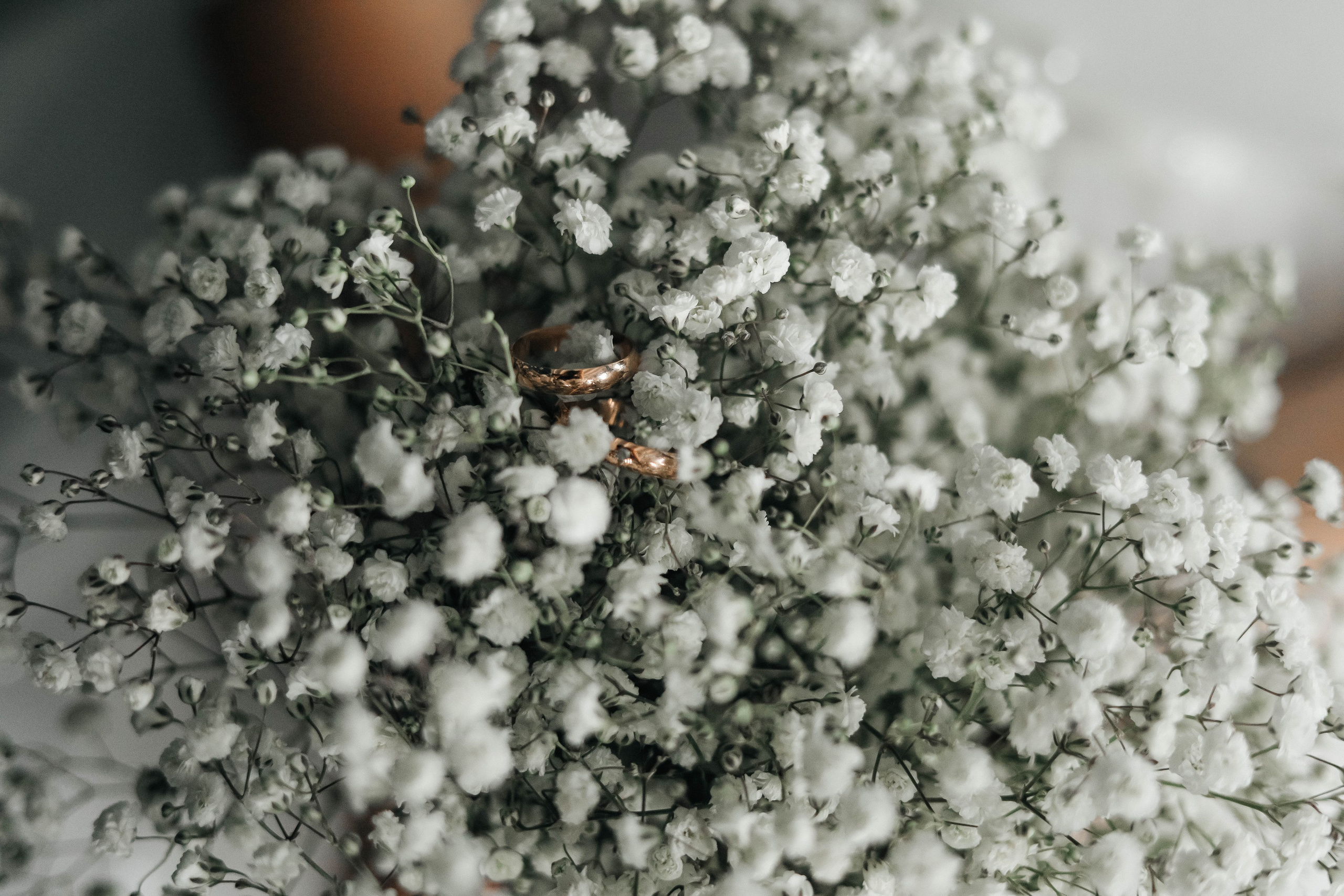 СВАДЬБЫ. Фотограф в Омске