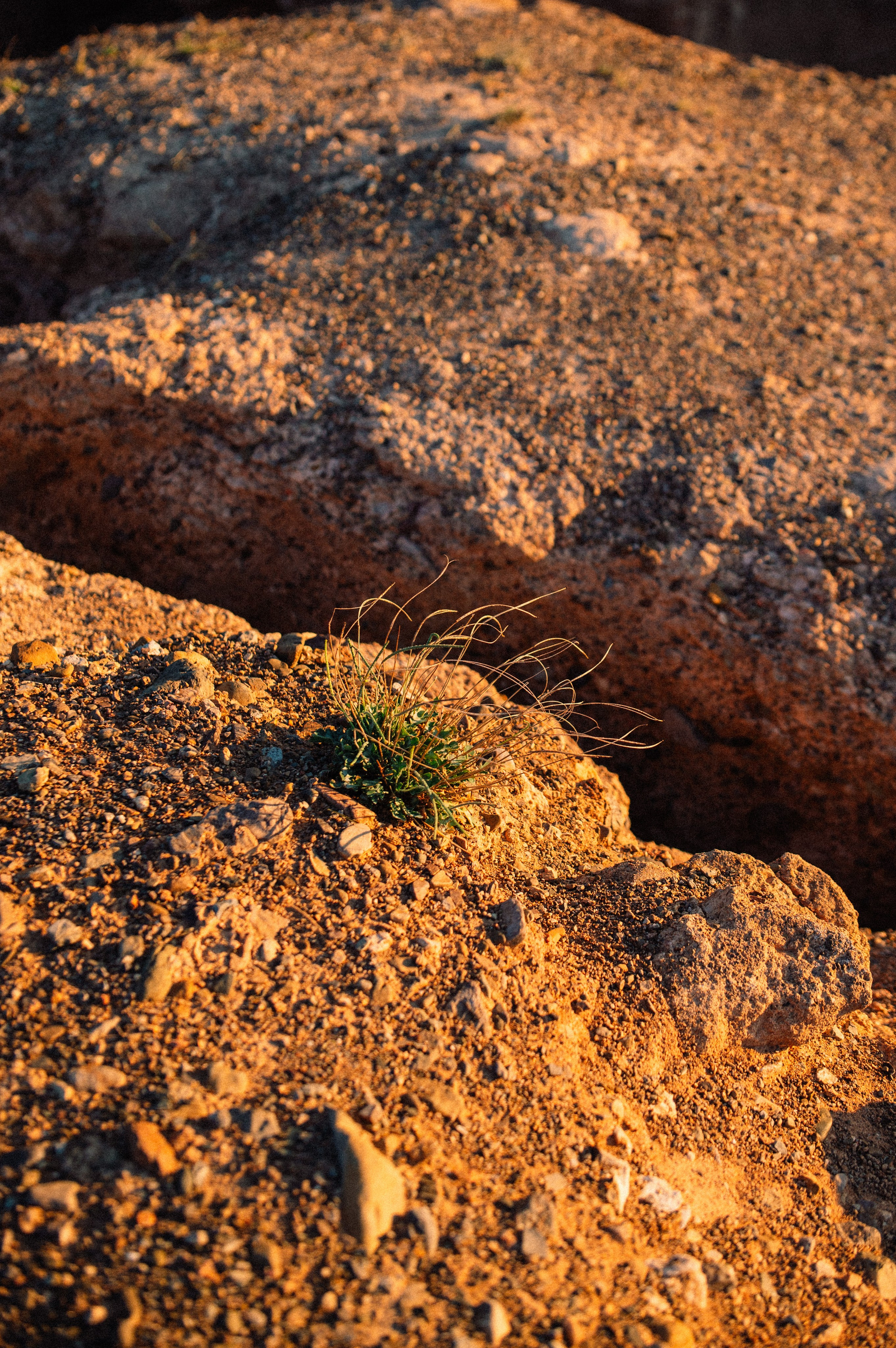 Чарын-Кольсай: лето 2024. Фотограф в Алматы — Дарья Фёдорова