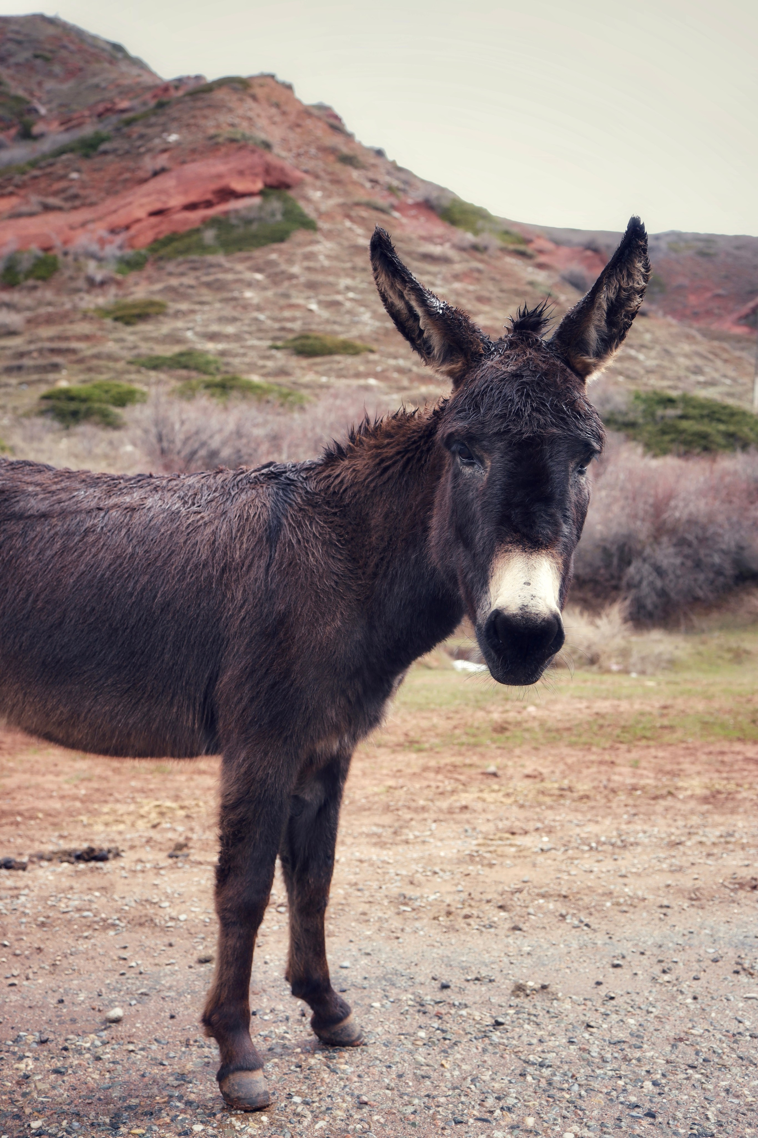 Around Issyk-Kul / Spring, Summer, Fall, Winter… and Spring. POLINA MÔMOT