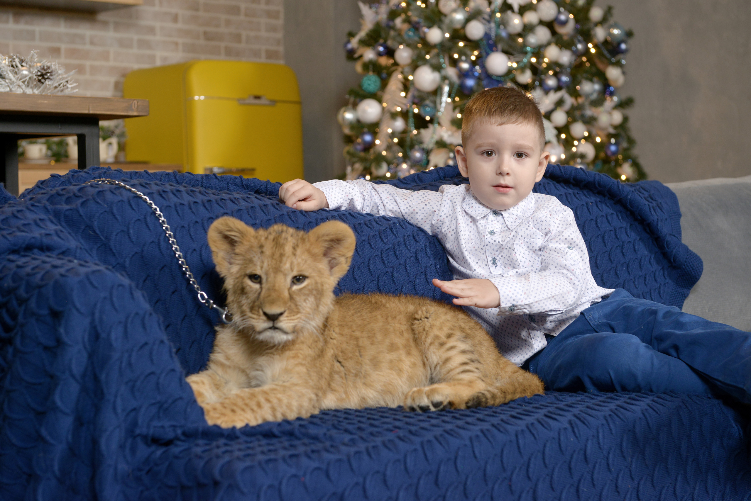 Фотосессии с животными. Предметный фотограф Санкт-Петербург