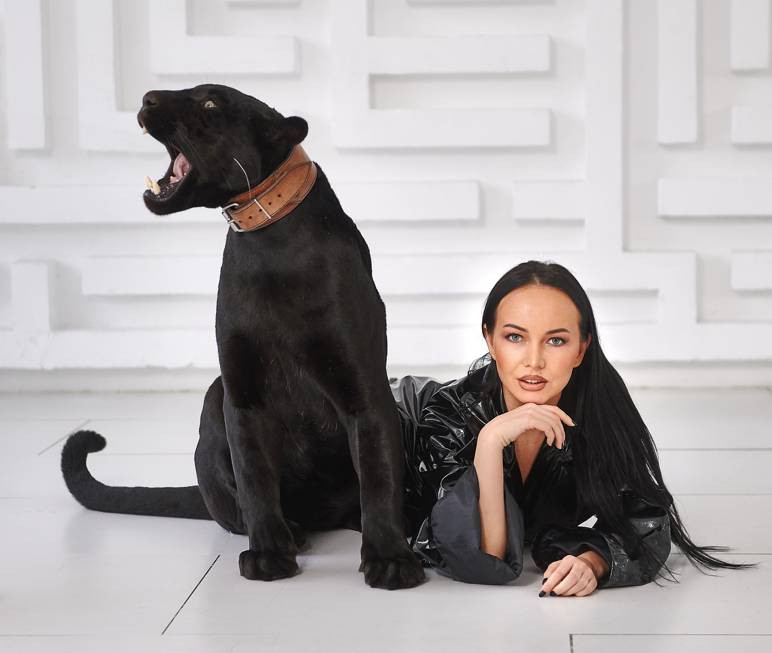 Фотосессии с животными. Предметный фотограф Санкт-Петербург