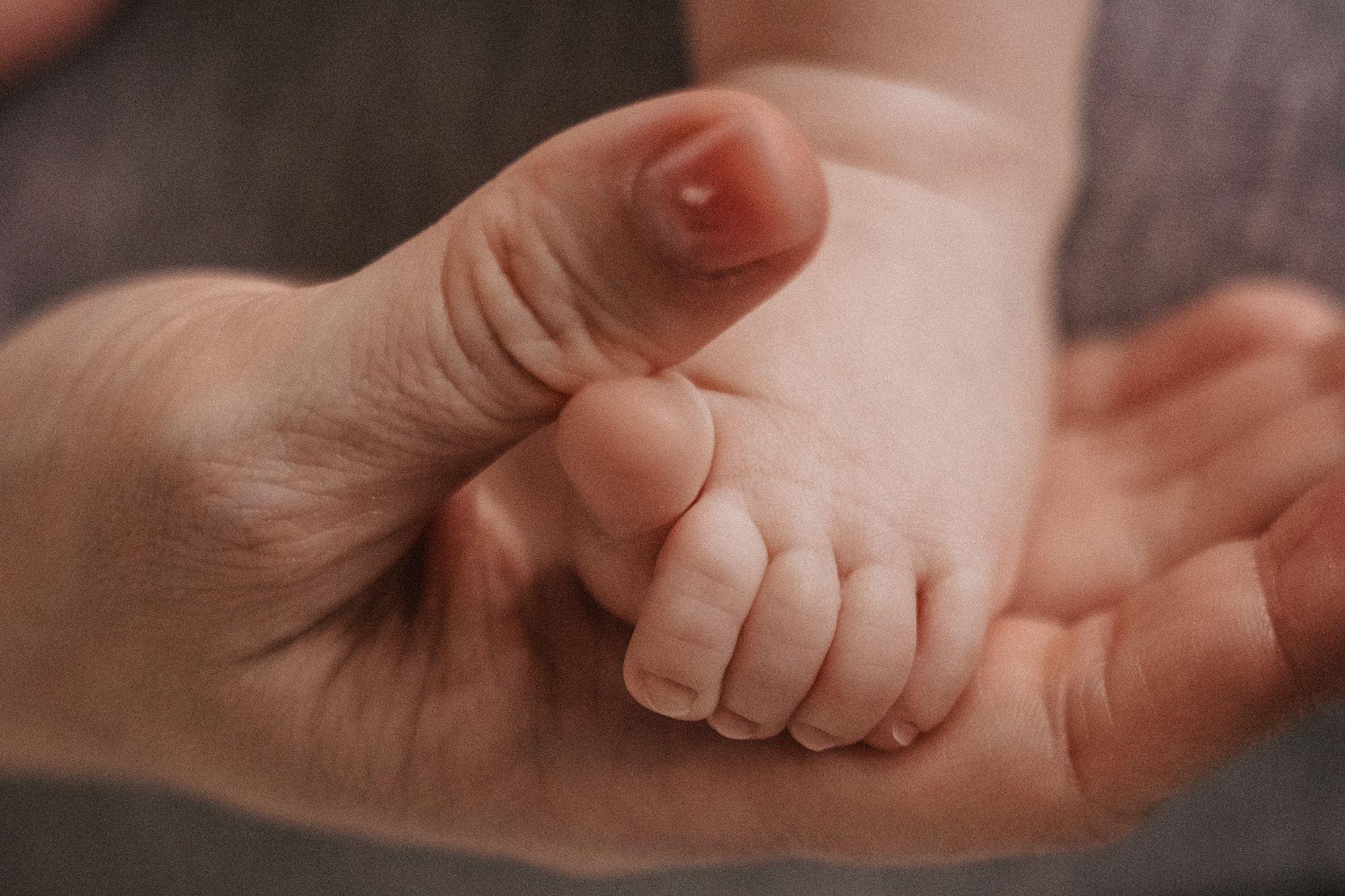 Домашняя семейная фотосессия. Семейный и детский фотограф в Перми Мария Карабатова