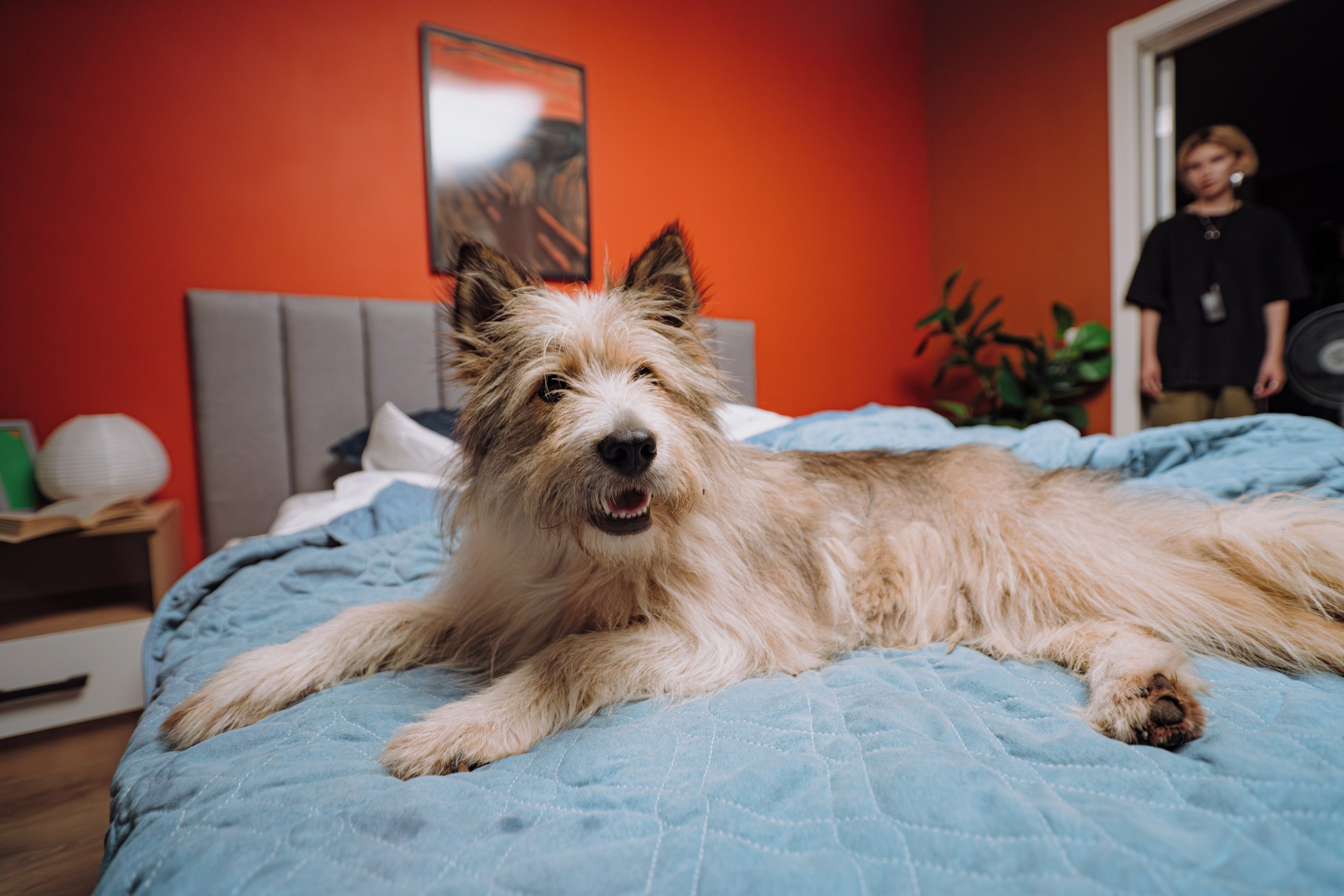 Бэкстейдж|СТС|Бурунов. Творческий и репортажный фотограф в Москве Клим Долгов