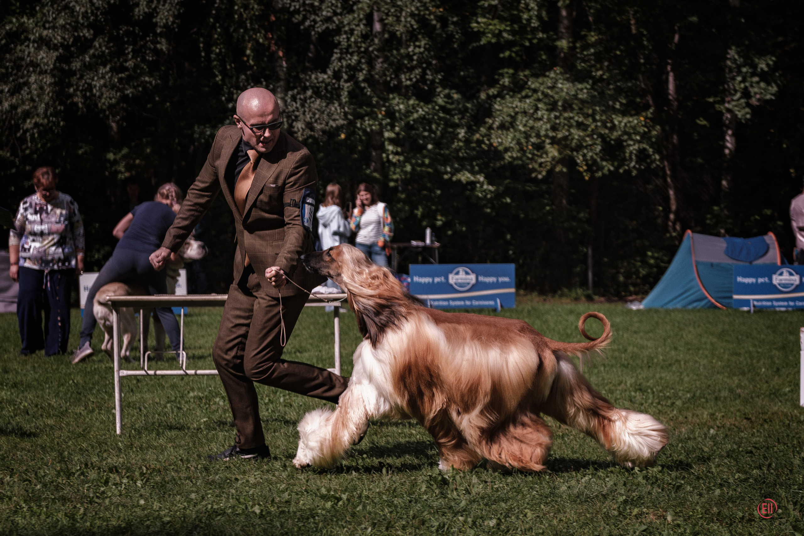 Друг человека. Фотограф в Москве