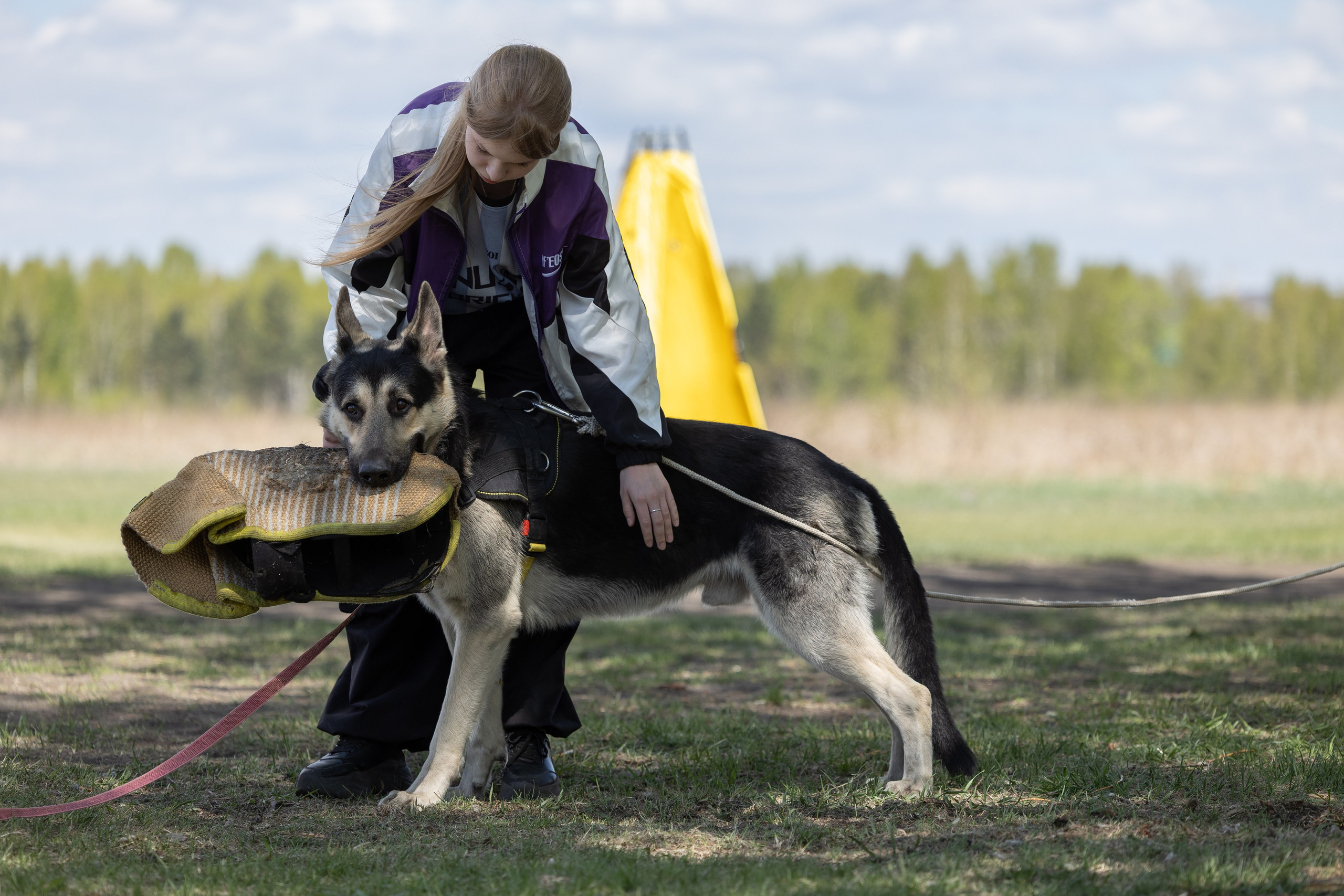 Тренинг по защите с Юрием Бояркиным г. Иркутск. Фотограф-анималист|Иркутск