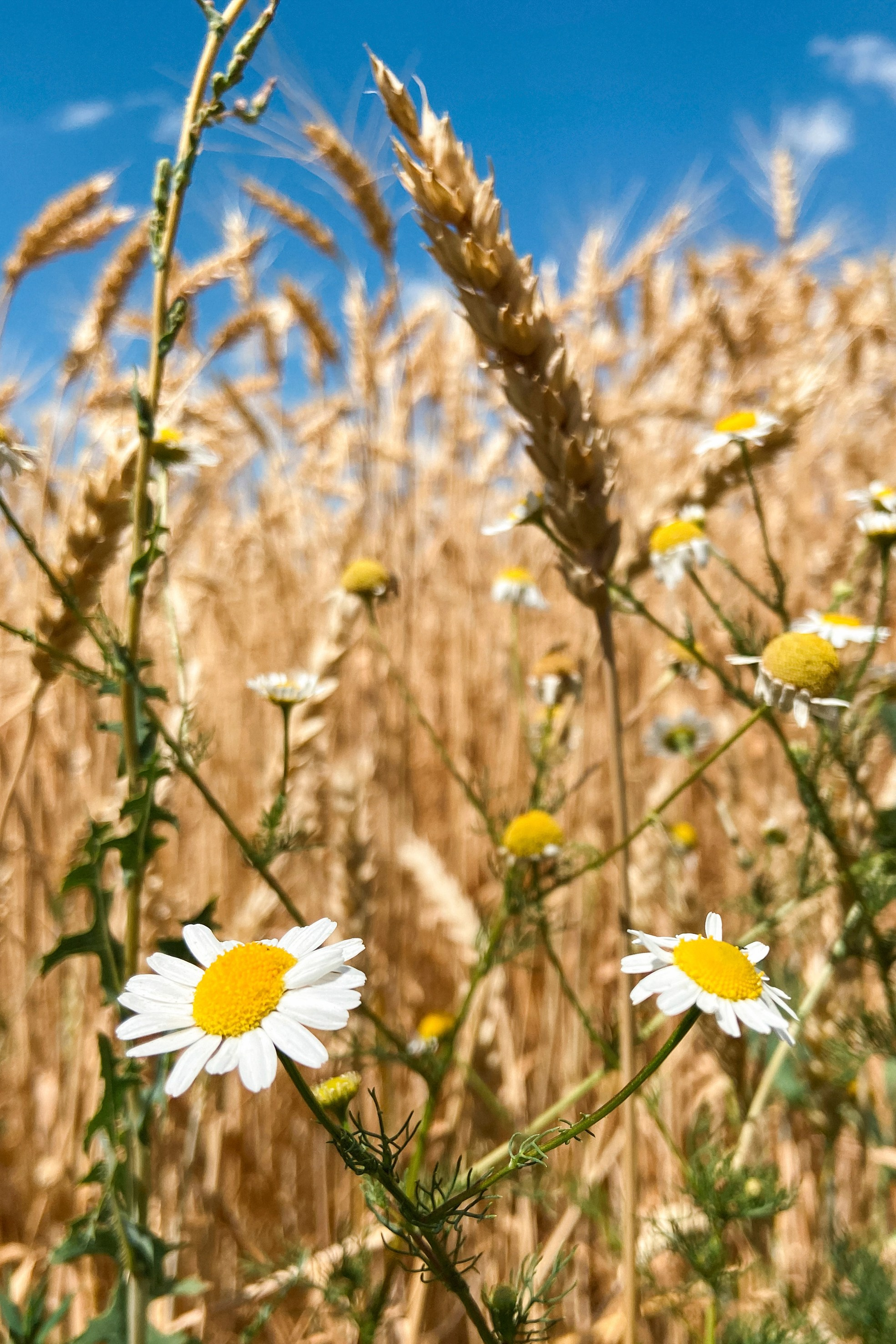 Природа. Команда фотографов Кристины Ивановой