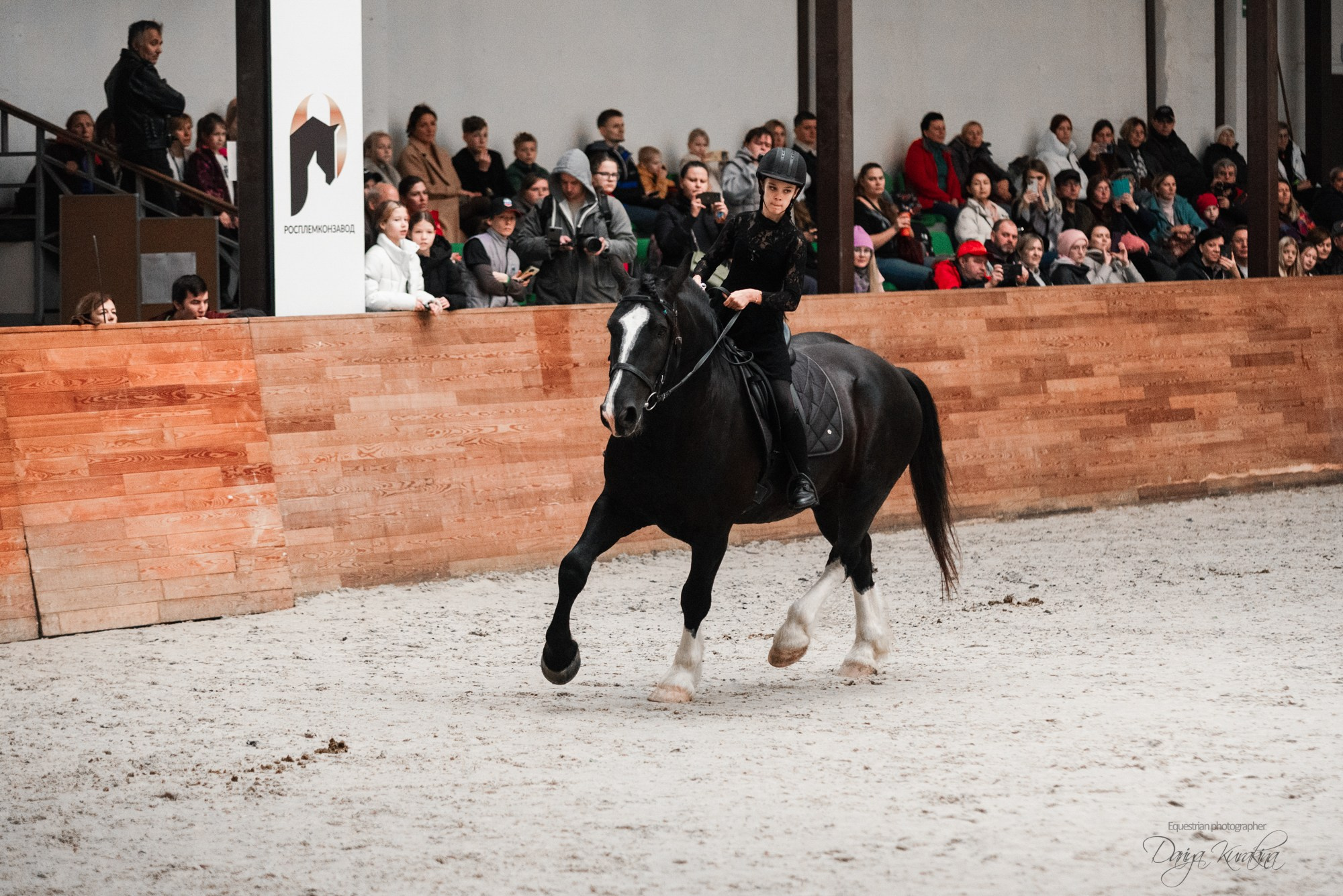 8-я международная выставка Конная Россия. Конный фотограф Куракина Дарья • Фотосессии с лошадьми