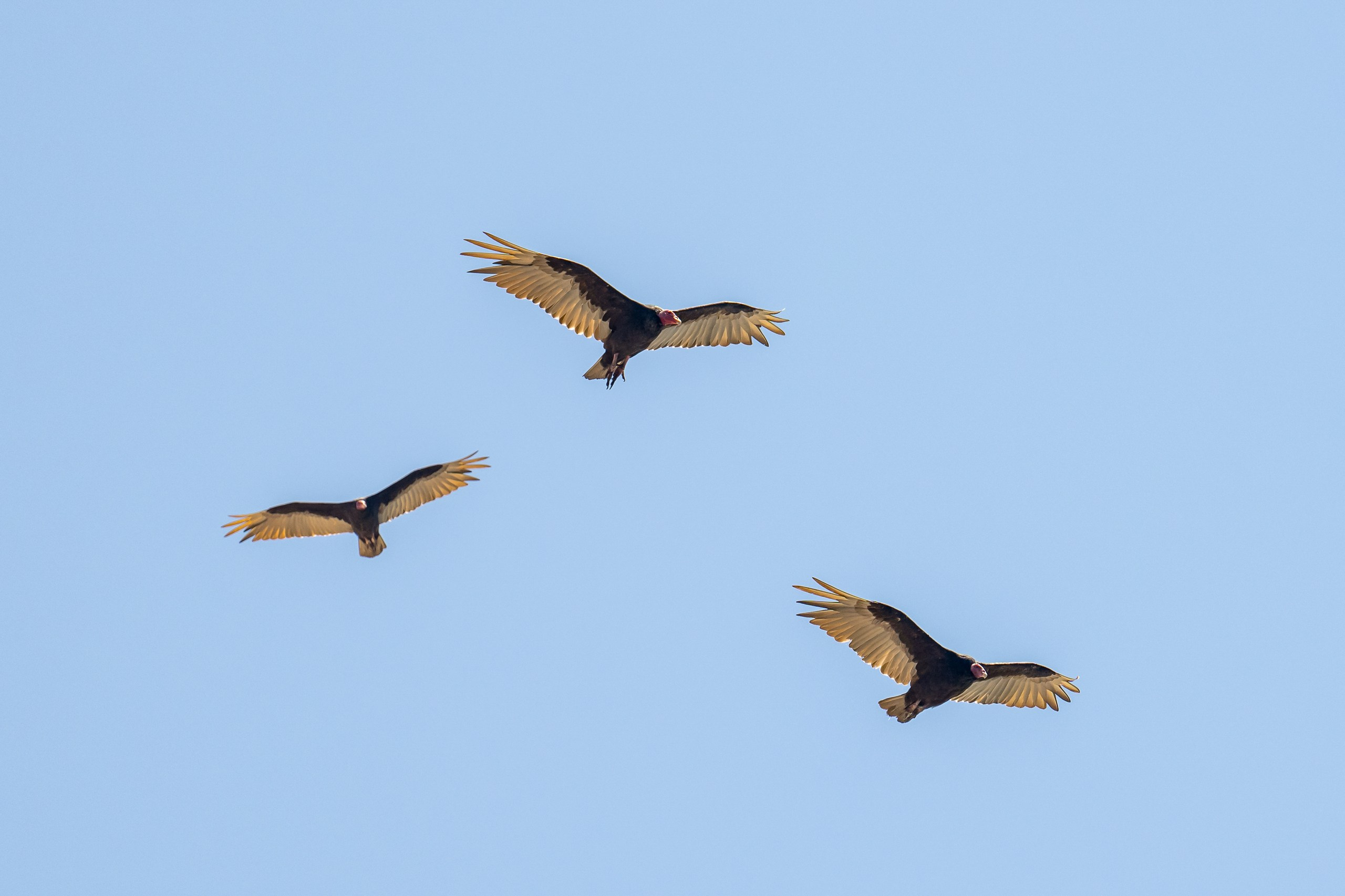 Перу. Foto-Zuev фотография как искусство