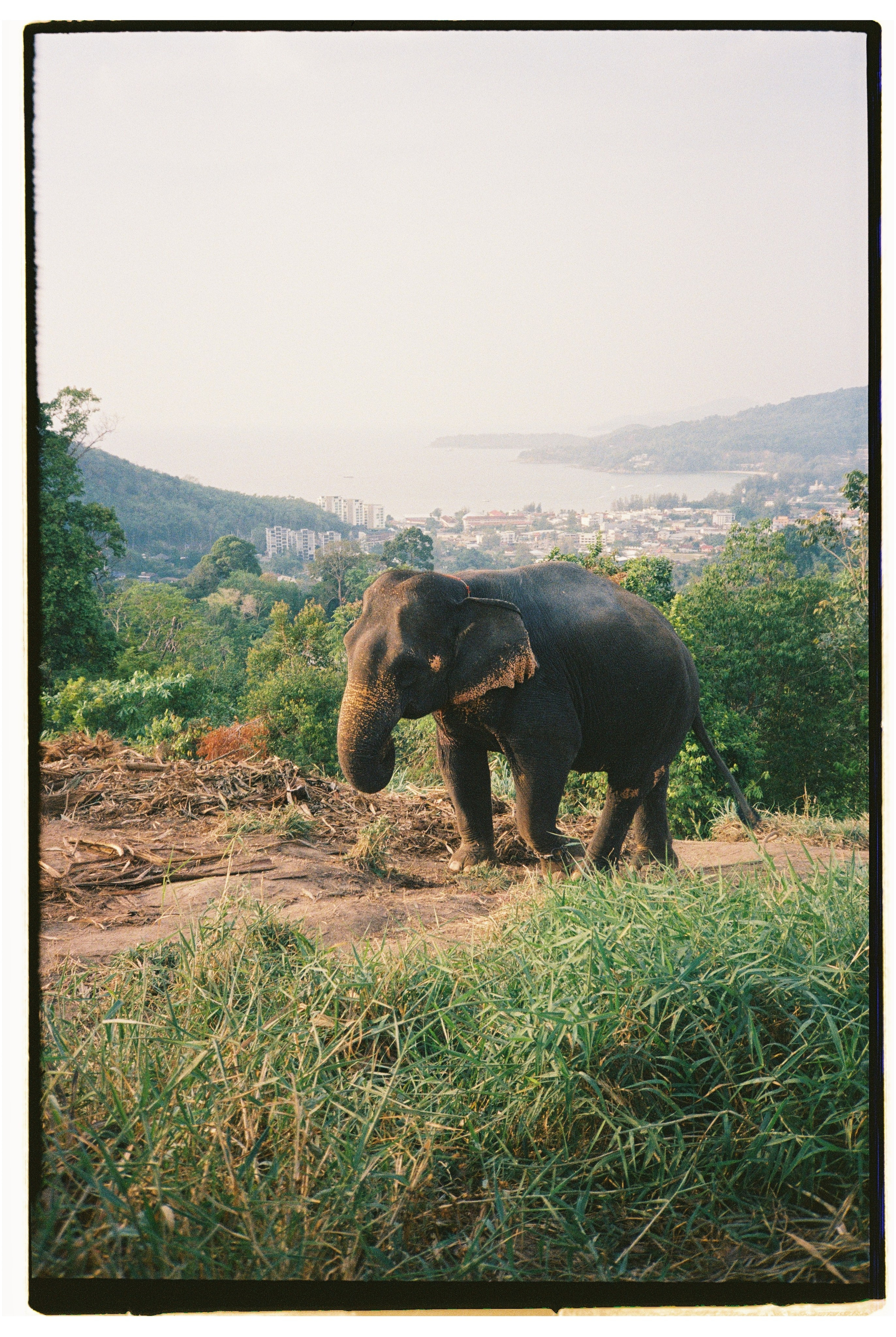 Таиланд. Портретный и репортажный фотограф в Санкт-Петербурге Дарья Сибирякова