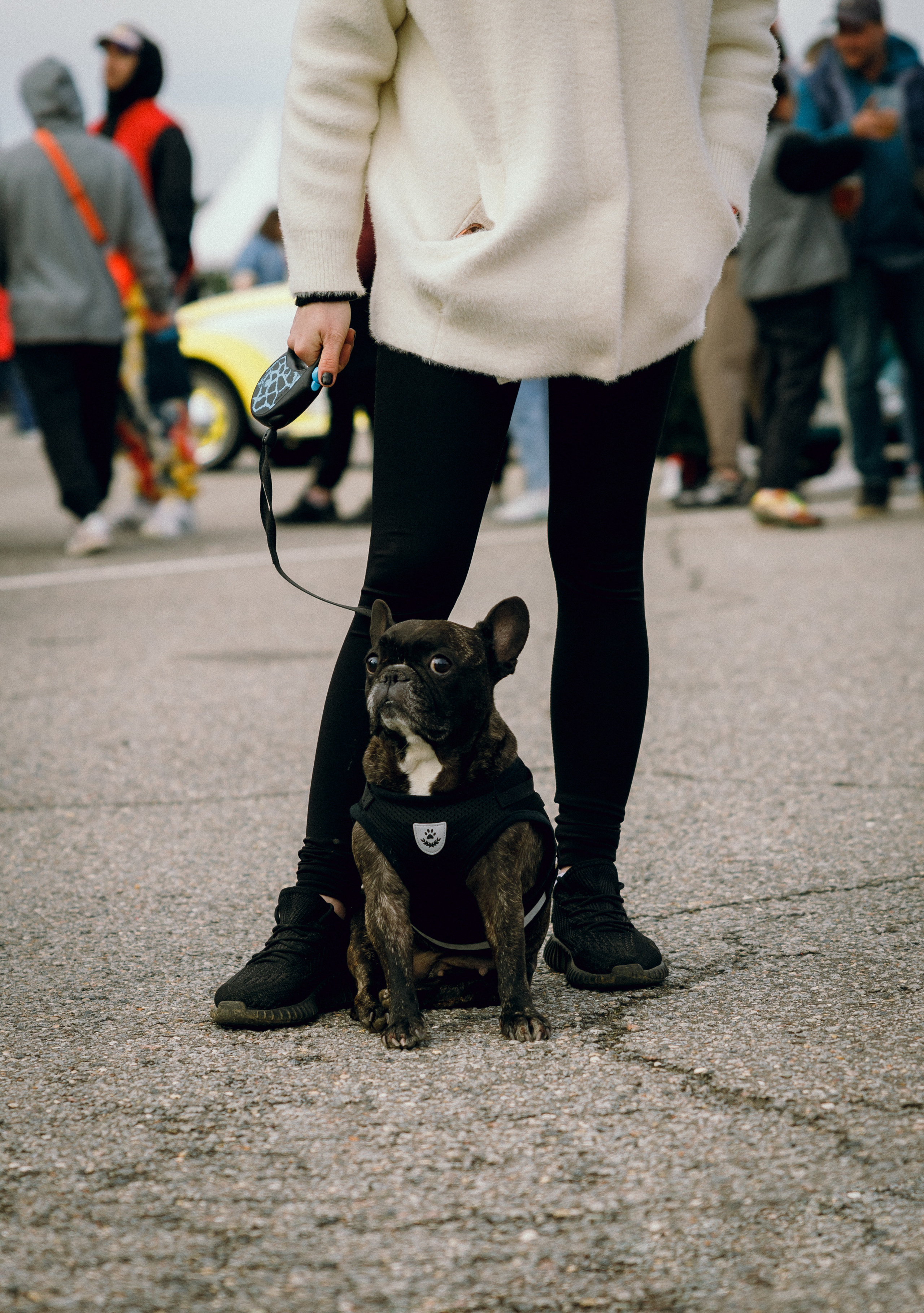 Vagburg '23. Свадебный фотограф / Reels Нижний Новгород Татьяна Красильникова