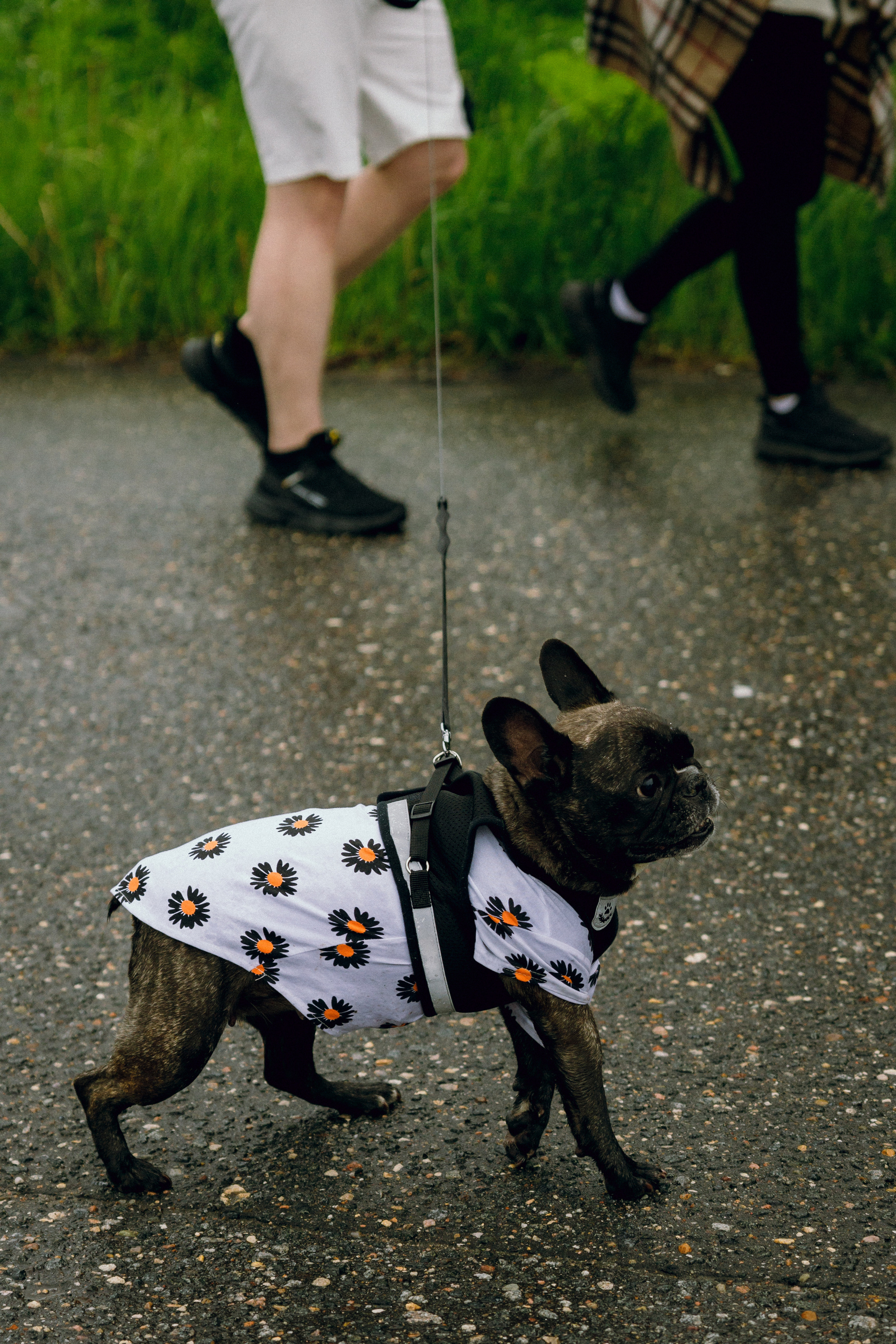 Vagburg '23. Свадебный фотограф / Reels Нижний Новгород Татьяна Красильникова