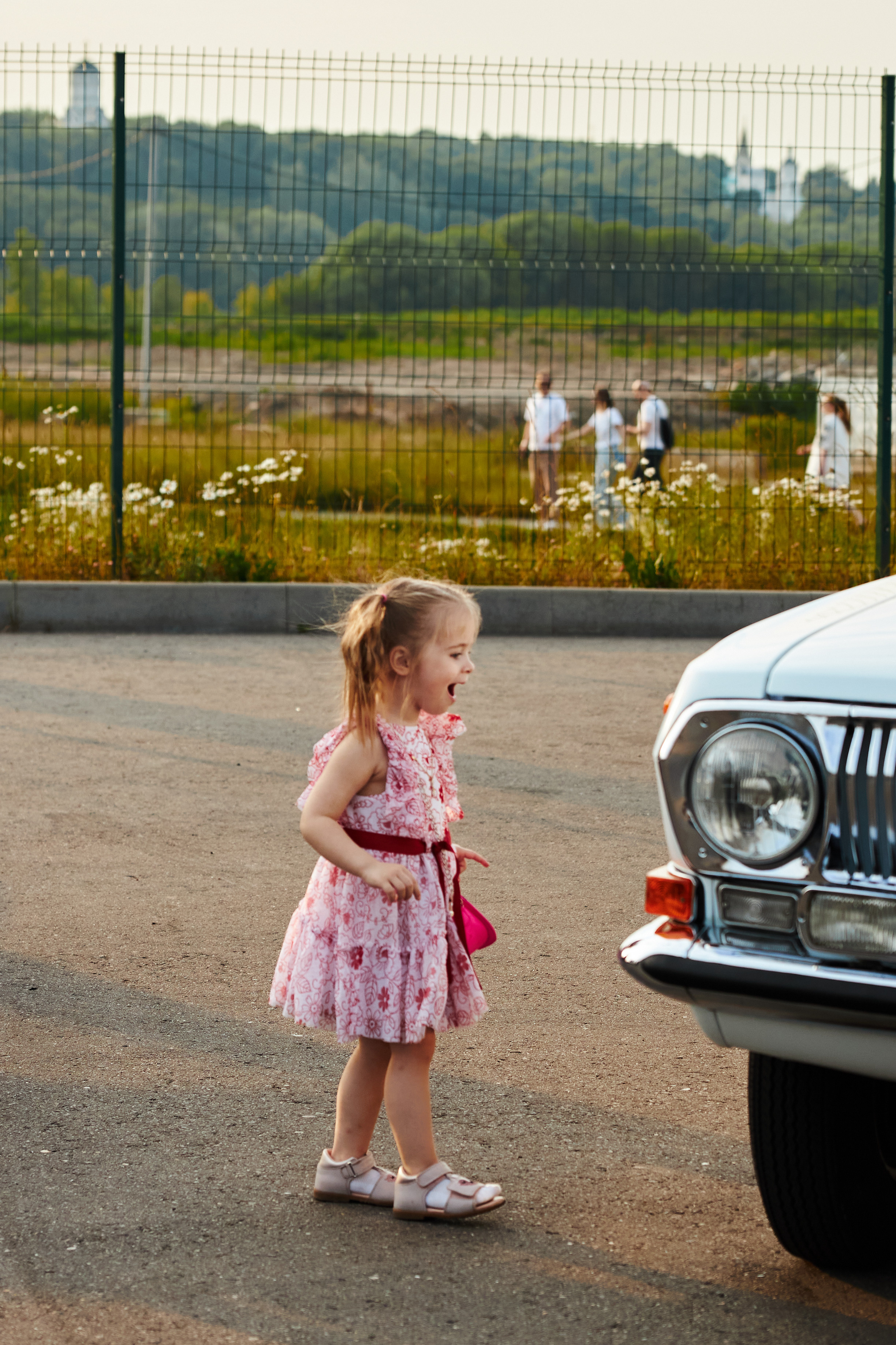 WHYNOT '23. Свадебный фотограф / Reels Нижний Новгород Татьяна Красильникова