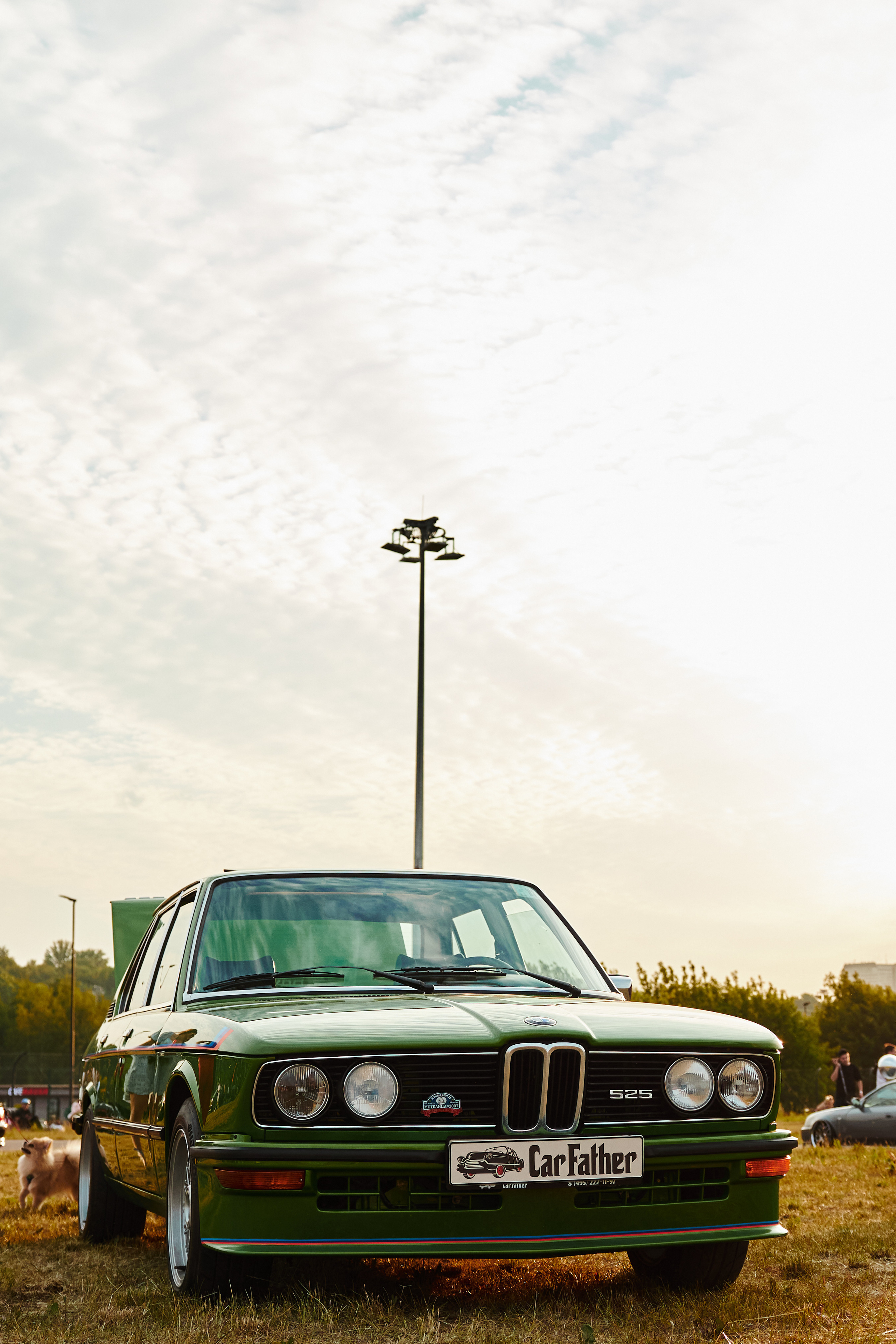 WHYNOT '23. Свадебный фотограф / Reels Нижний Новгород Татьяна Красильникова