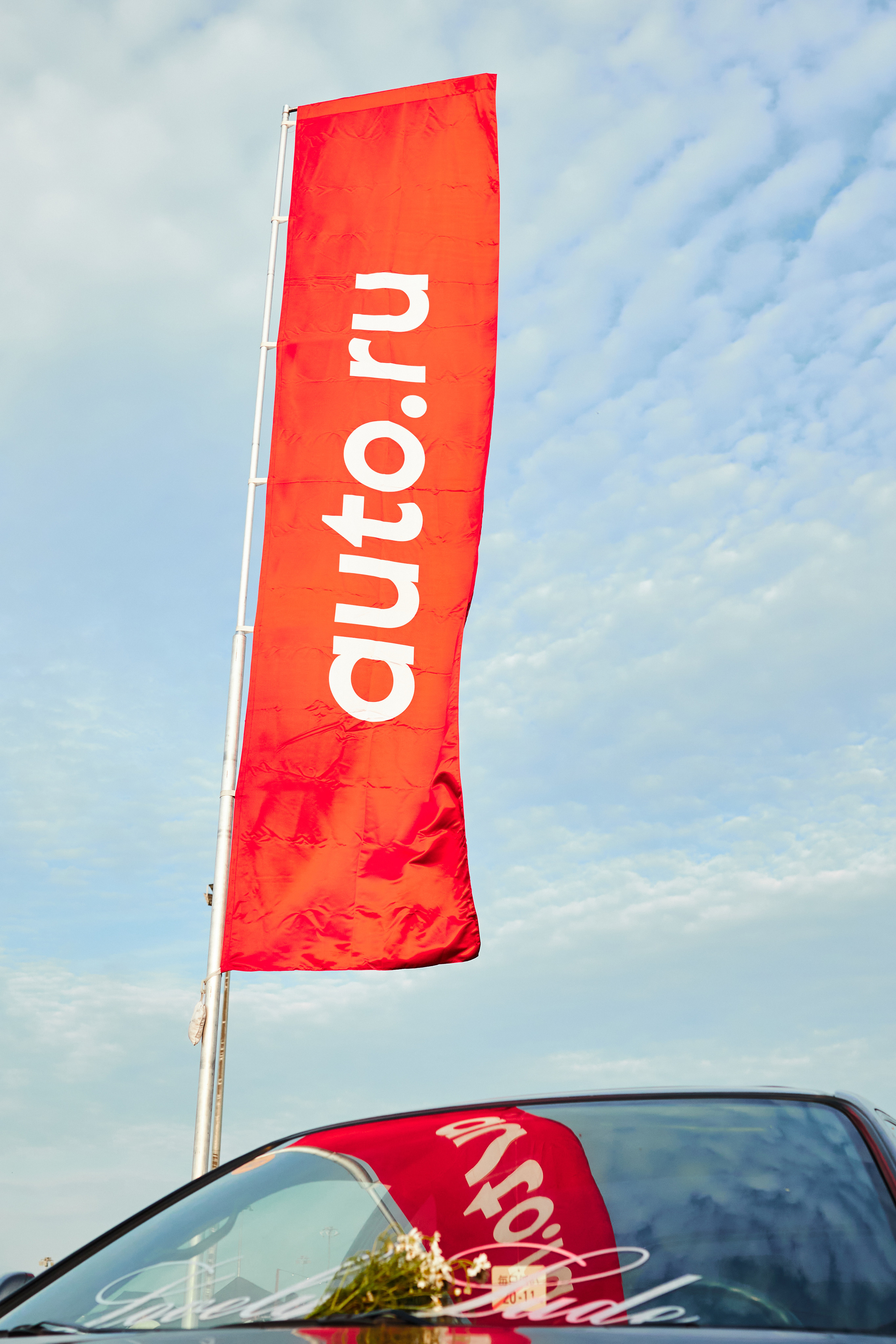 WHYNOT '23. Свадебный фотограф / Reels Нижний Новгород Татьяна Красильникова