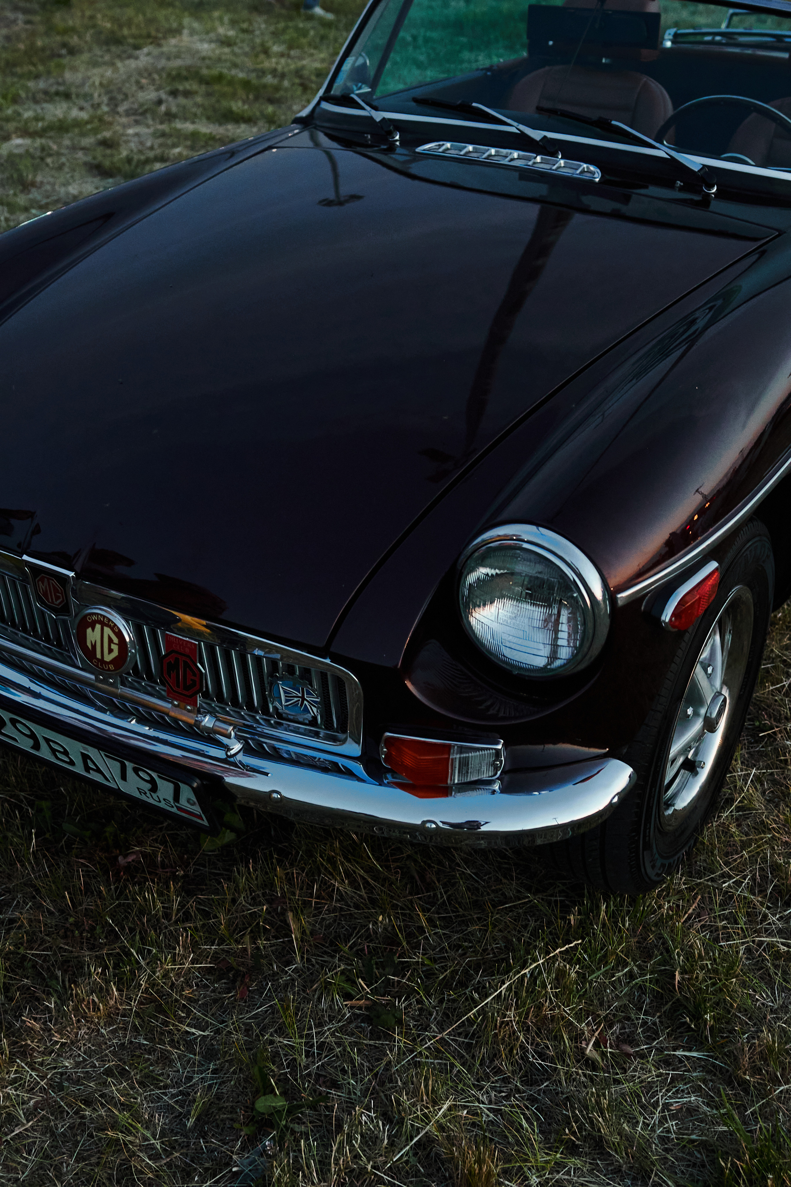 WHYNOT '23. Свадебный фотограф / Reels Нижний Новгород Татьяна Красильникова