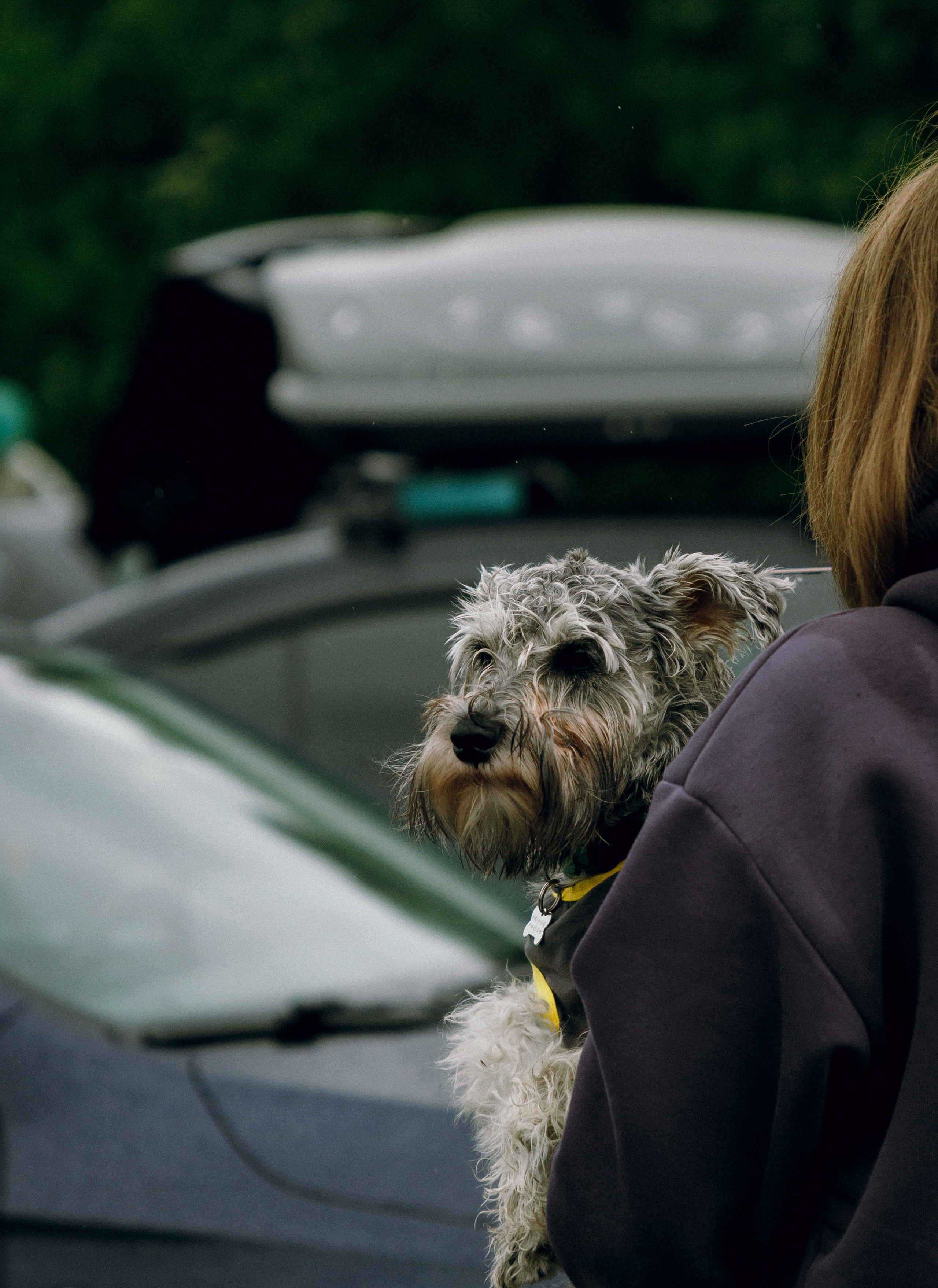 Vagburg '23. Свадебный фотограф / Reels Нижний Новгород Татьяна Красильникова