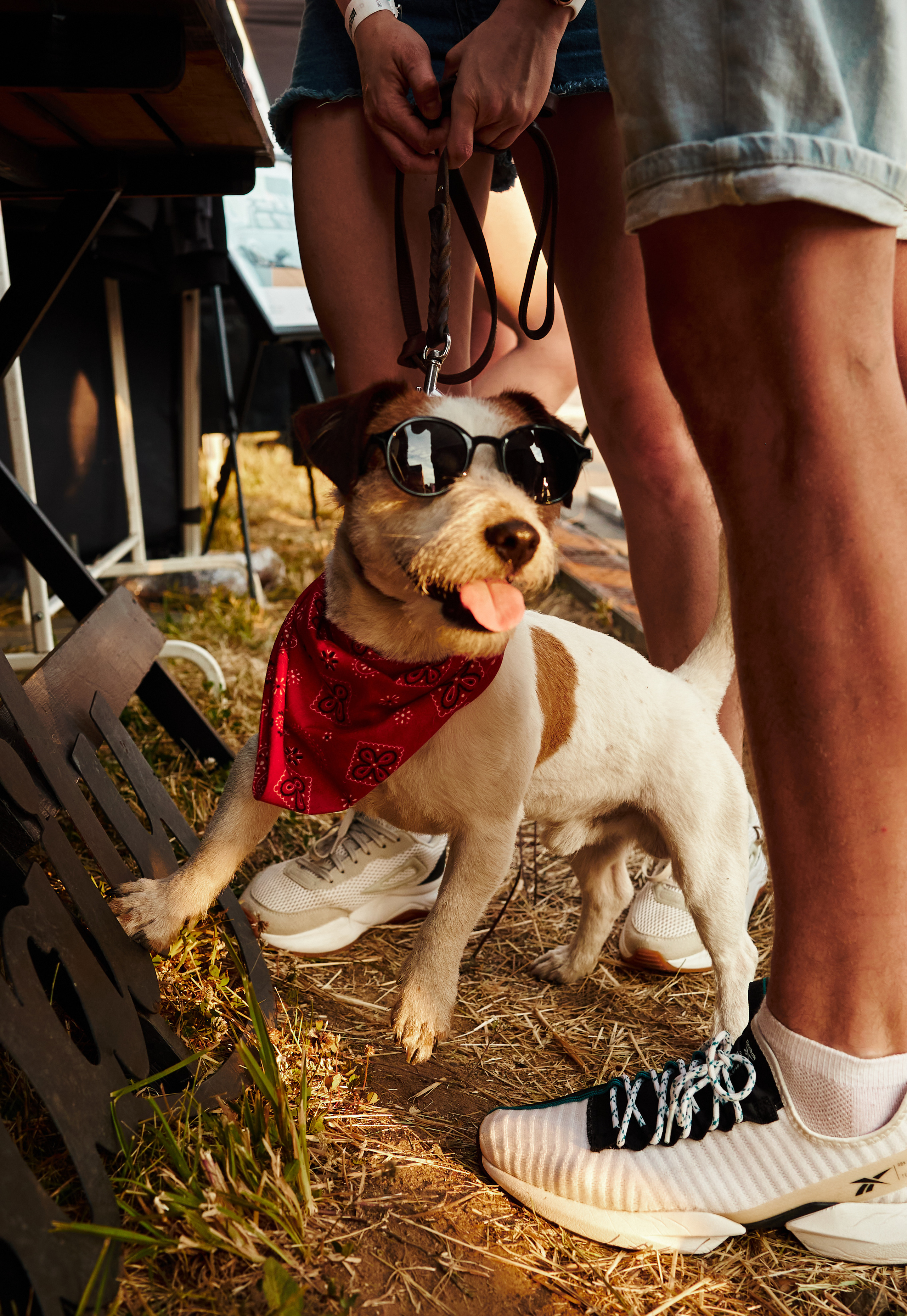 WHYNOT '23. Свадебный фотограф / Reels Нижний Новгород Татьяна Красильникова