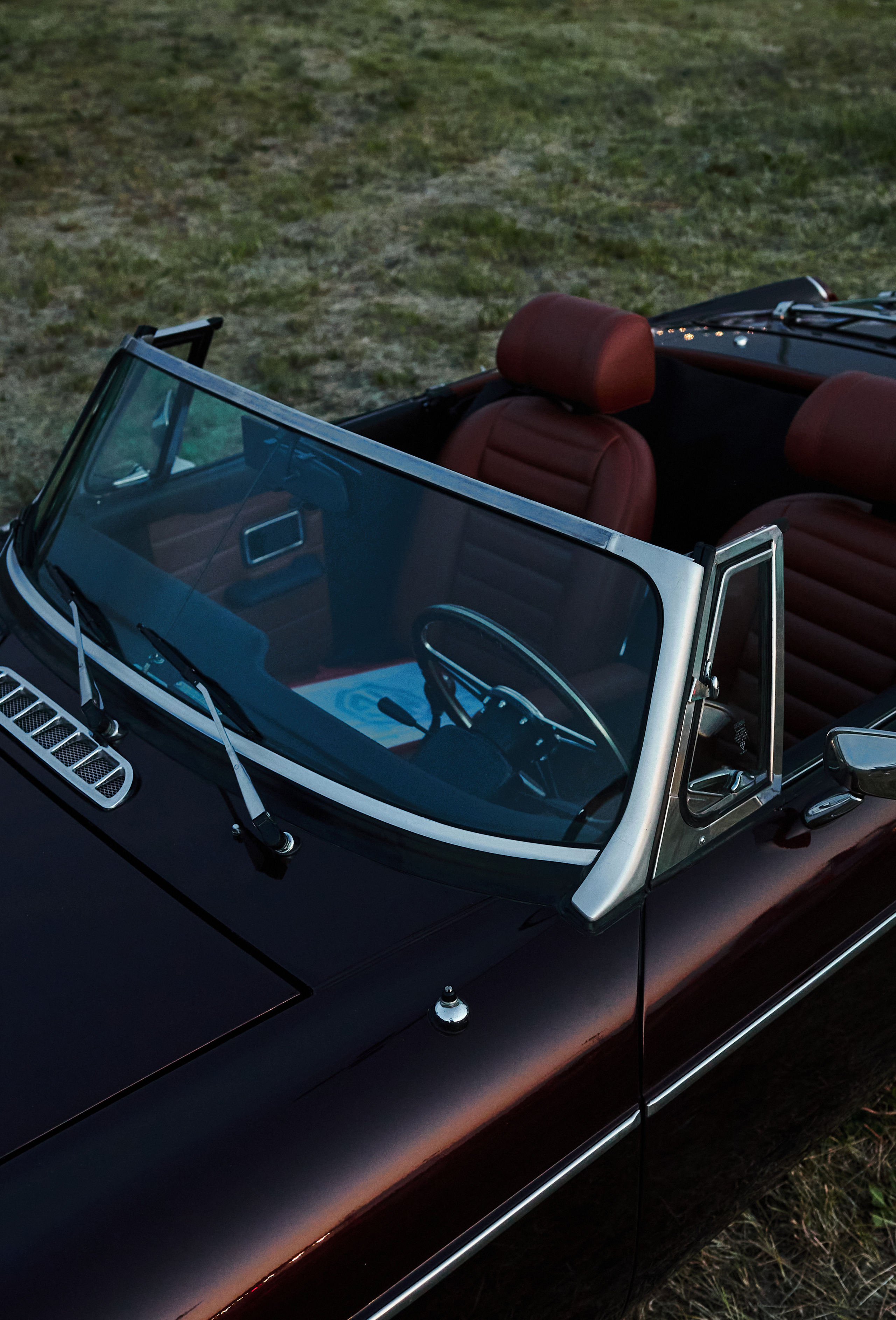 WHYNOT '23. Свадебный фотограф / Reels Нижний Новгород Татьяна Красильникова