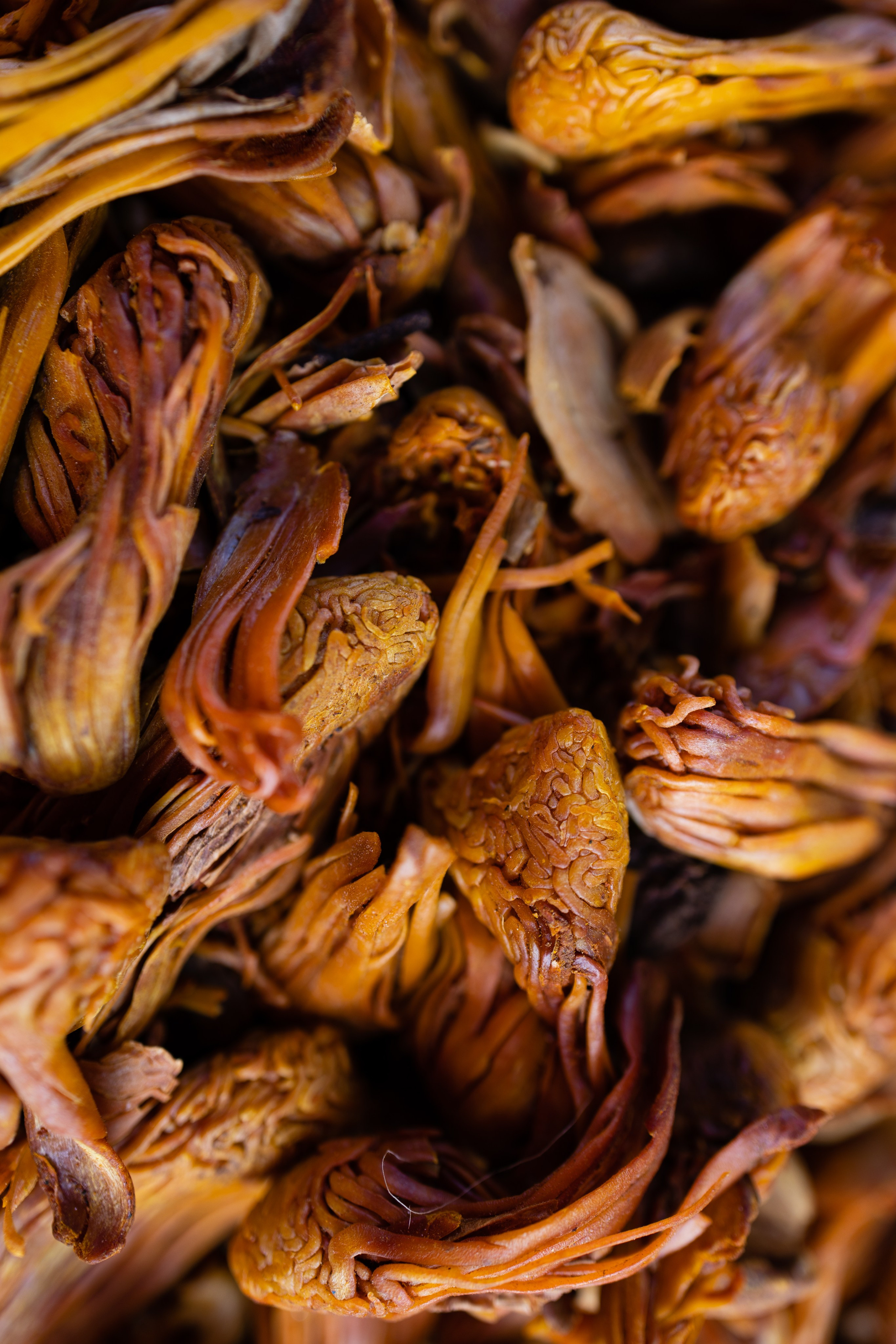 ГОА 2024. Руслан Плахтеев