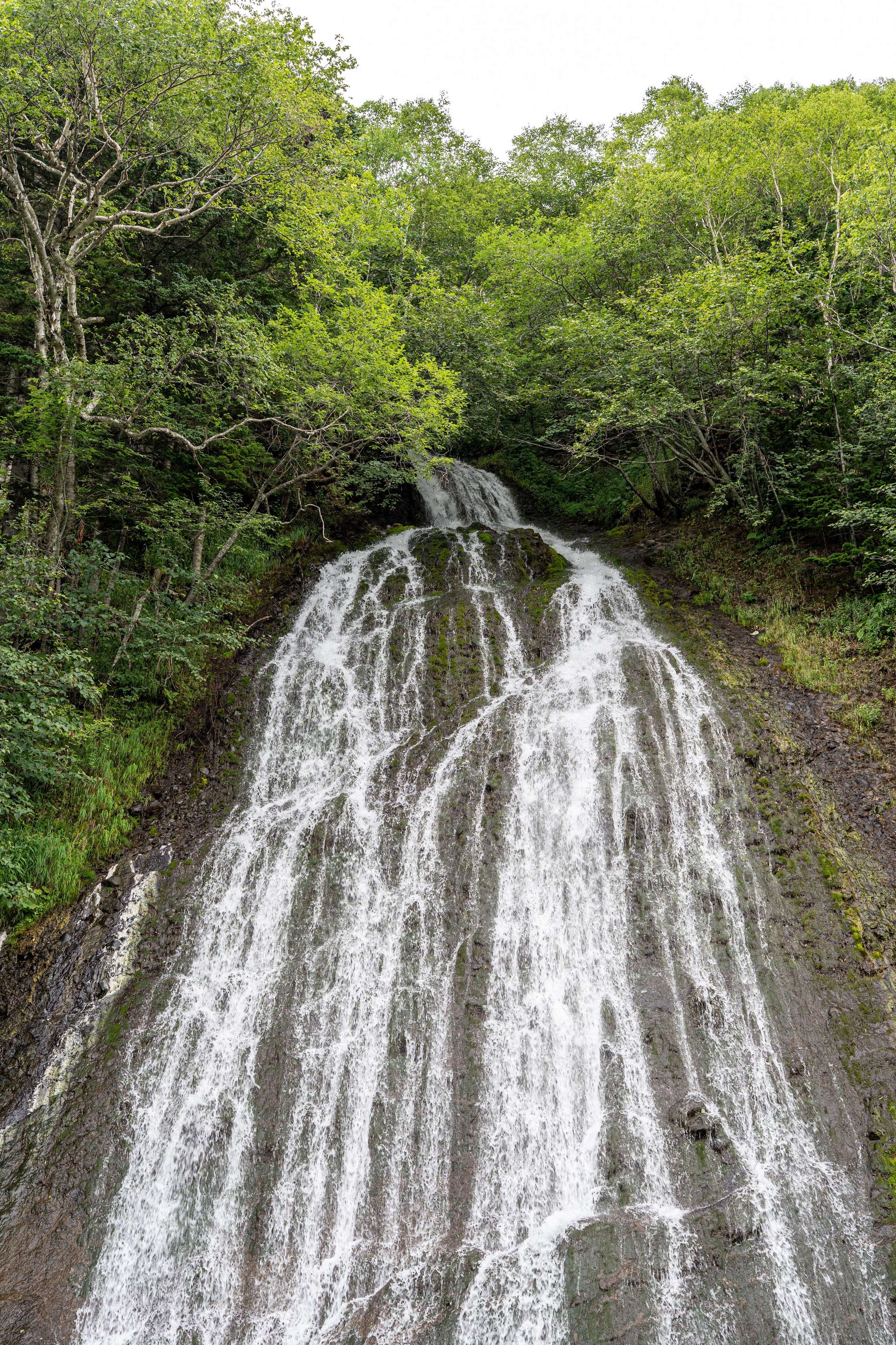 Сахалин 2025. Творческие сьемки