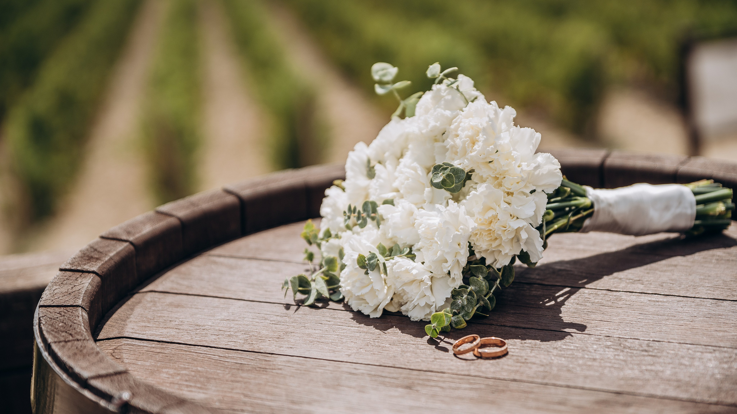 15.08.2025. Фотограф Новороссийск / ЮФО / Москва Руслан Пелин