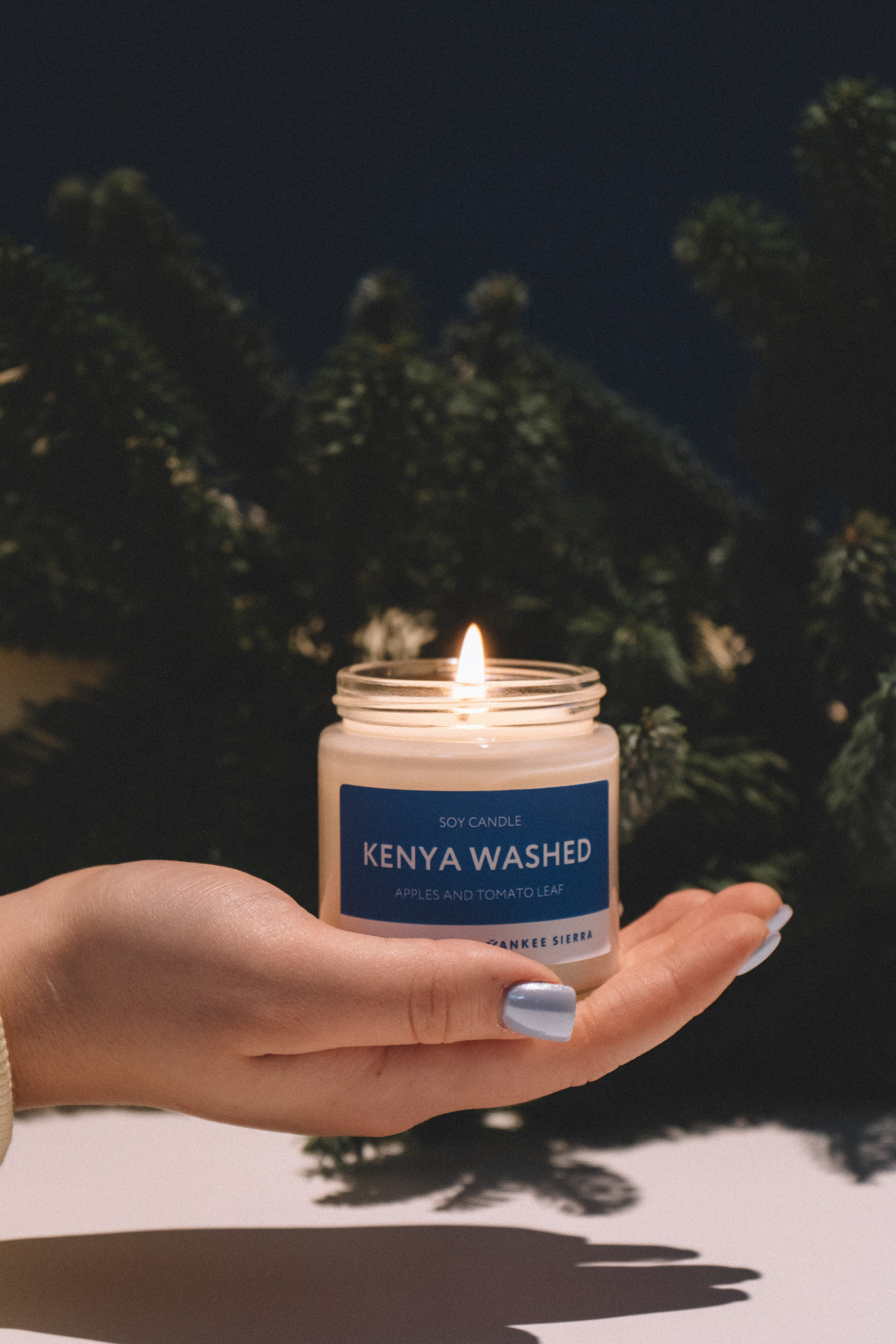 Yankee sierra. Анастасия Попова — Fashion photographer