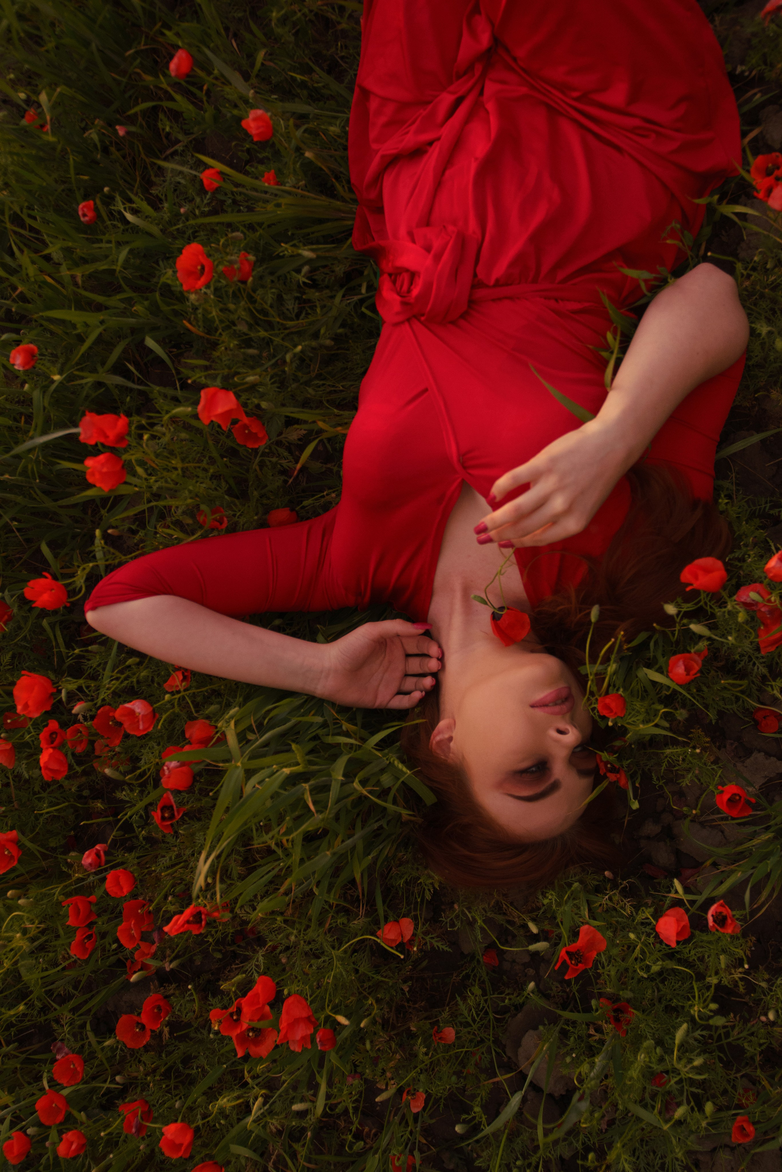 Поля и сады. Фотограф Алматы, курс по Фотографии в Алматы. Дмитриева Наталья