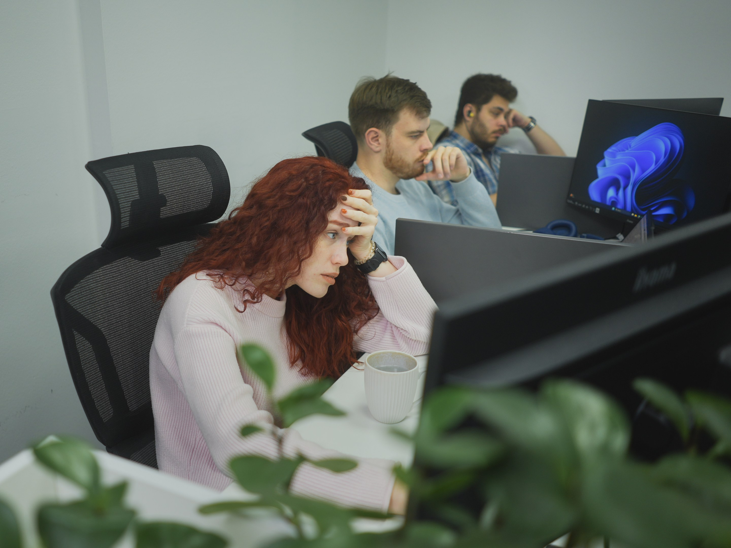 IT company's event. Андрей Фадеев фото видео Тбилиси