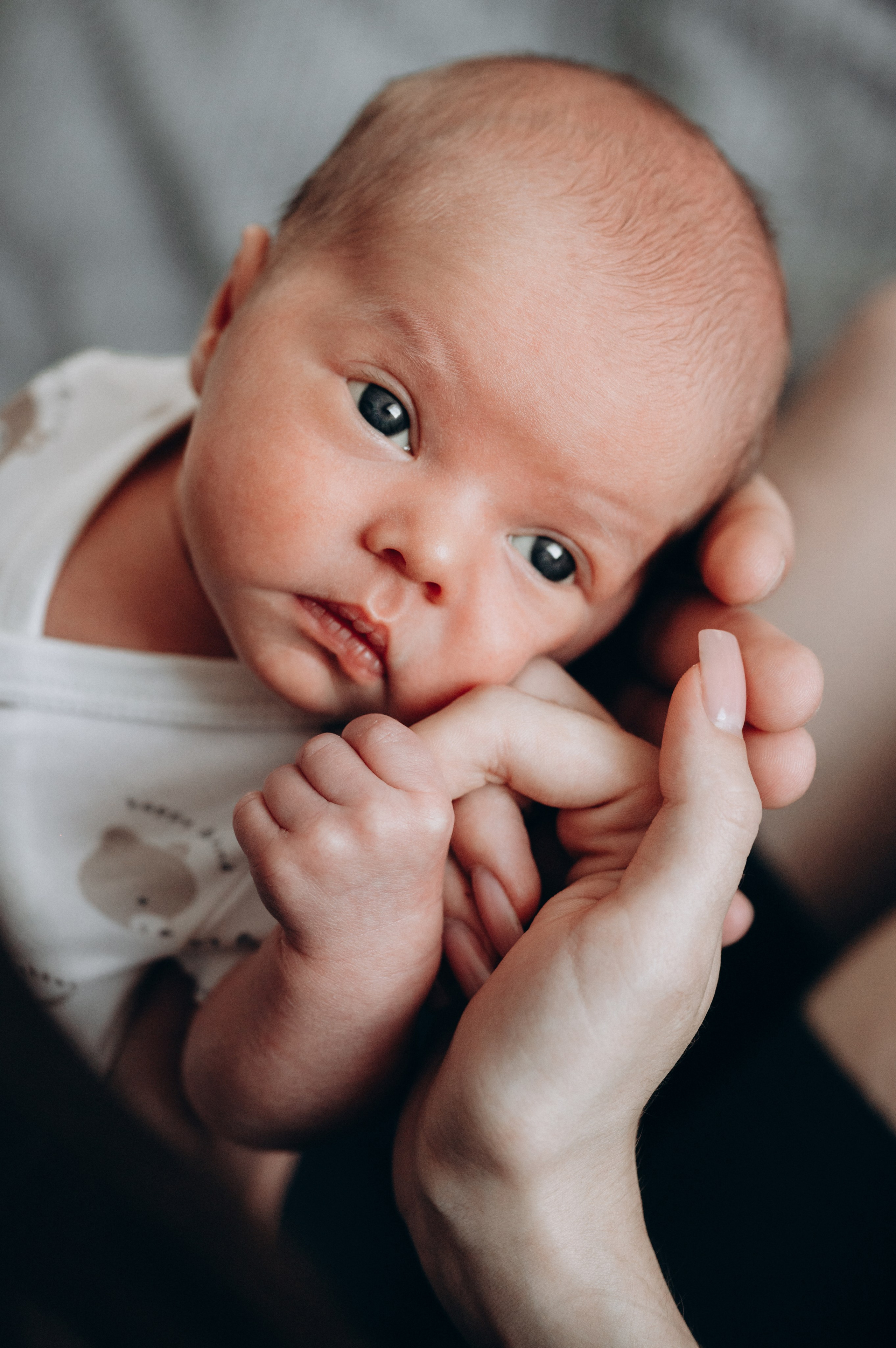 Съёмка маленькой принцессы. Мариуполь фото. Фотограф Мариуполь.Индивидуальные съёмки. Детские, семейные, коммерческие