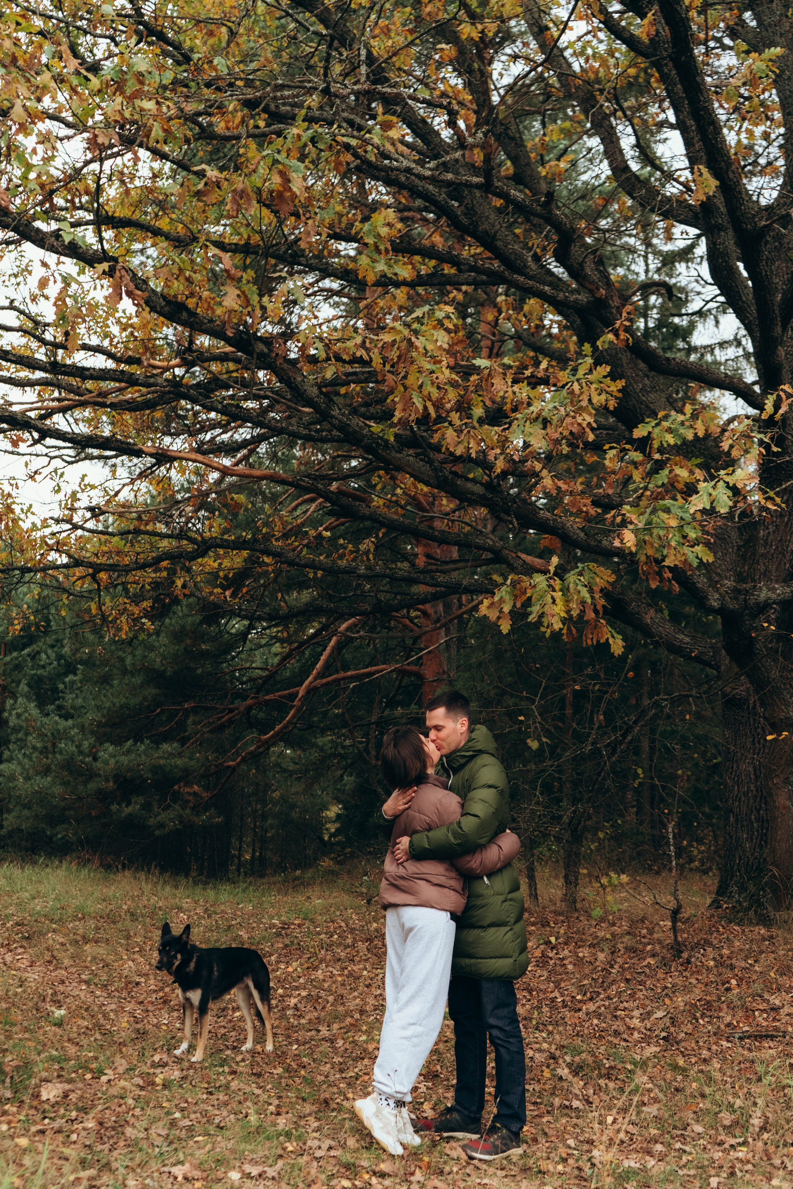 Даша, Леша и Гарри