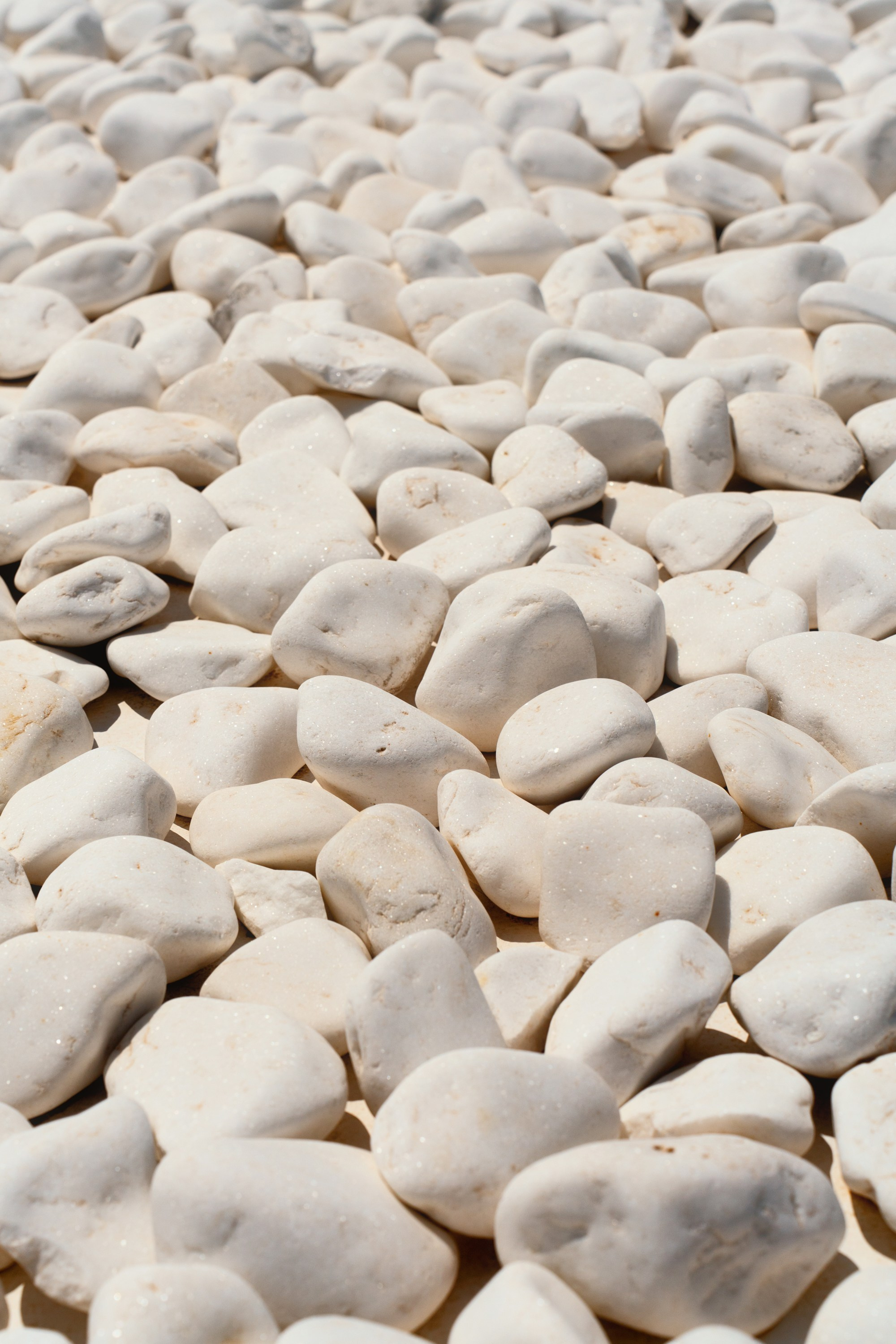 Турция, Греция, Иордания. Фотограф в Хабаровске. Фотография за 24 часа