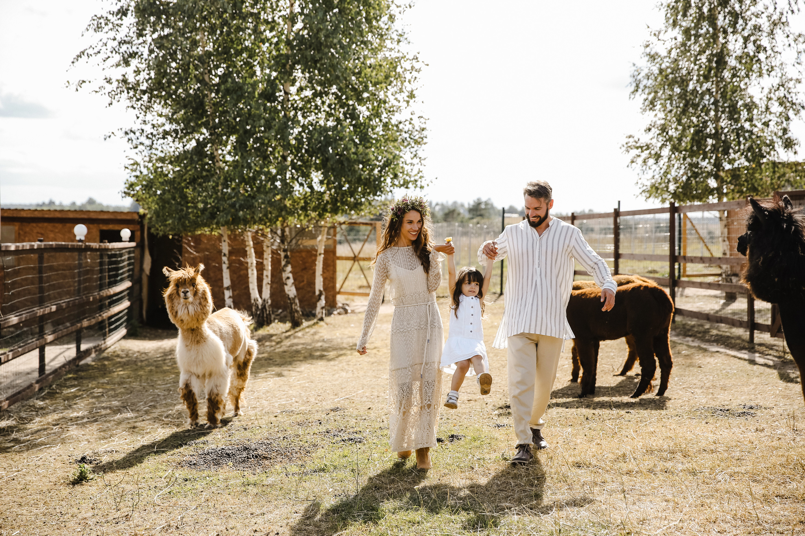 Ферма Альпаков Подмосковье. Фотограф и видеограф Анна Домашенко