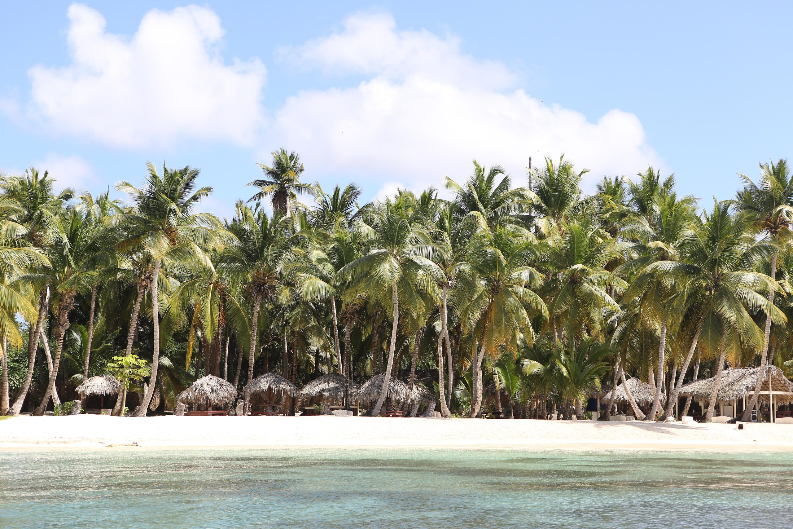 Лаборатория Касперского Доминикана SAS. Фотограф и видеограф Анна Домашенко