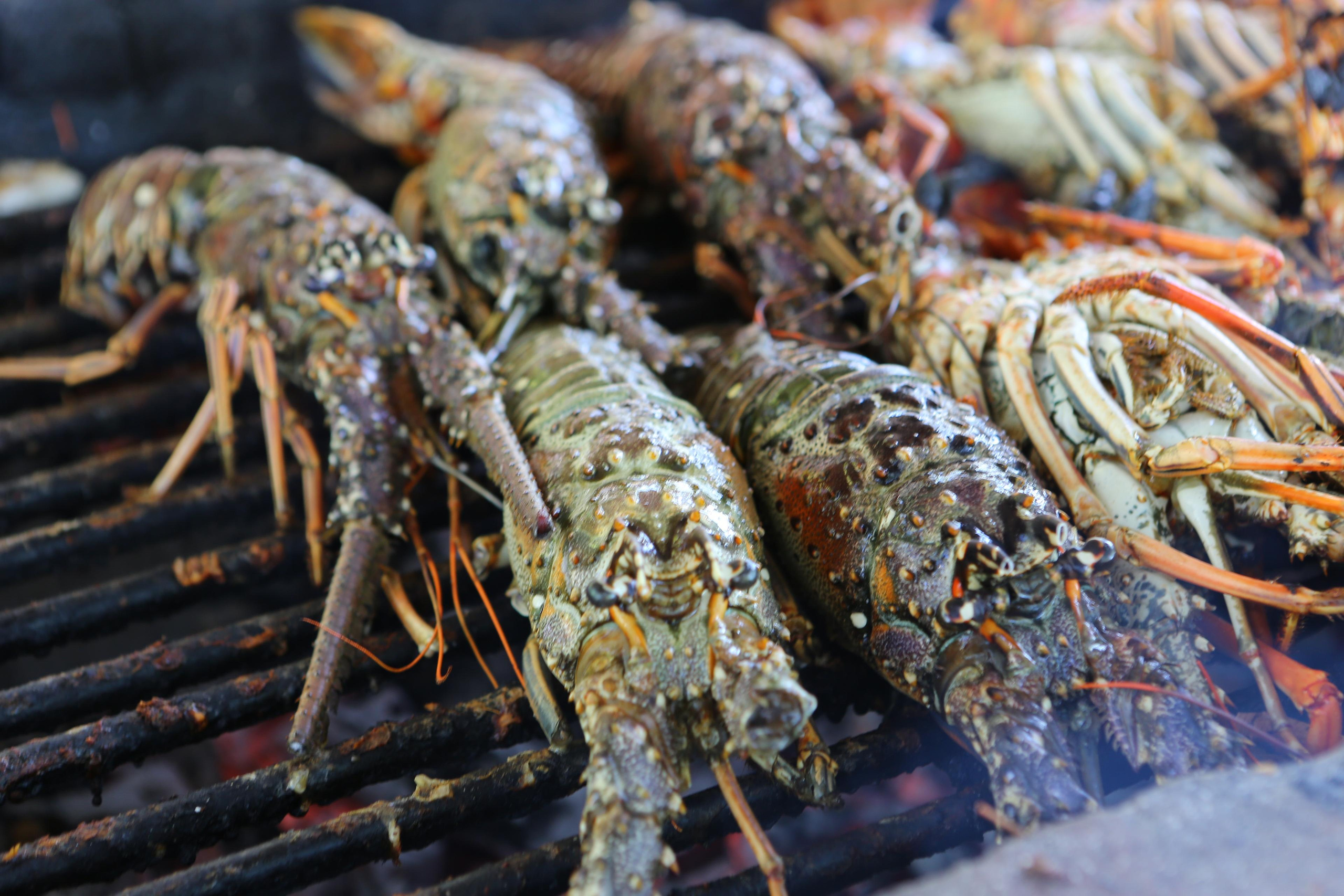 Лаборатория Касперского Доминикана SAS. Фотограф и видеограф Анна Домашенко