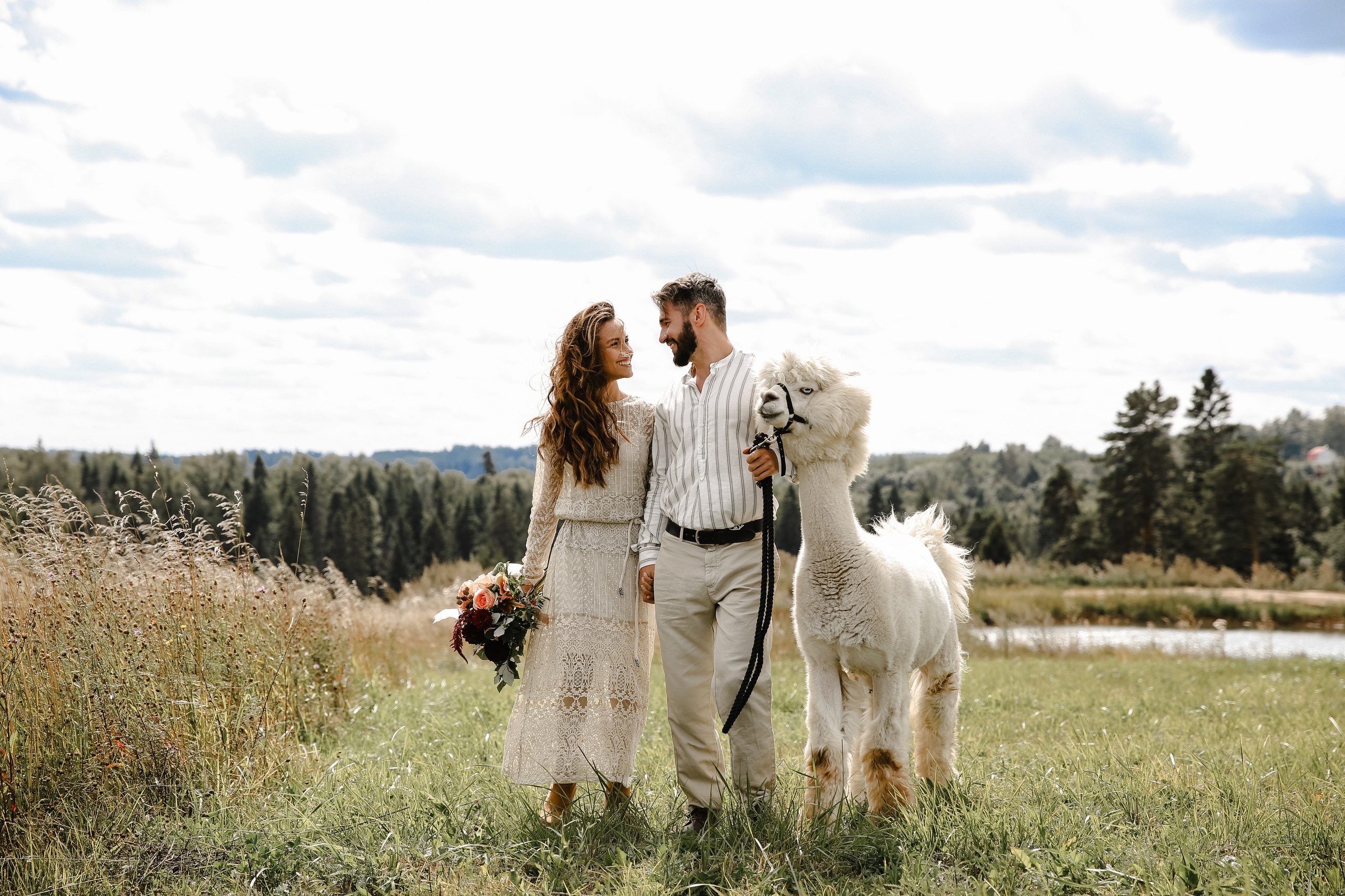 Ферма Альпаков Подмосковье. Фотограф и видеограф Анна Домашенко
