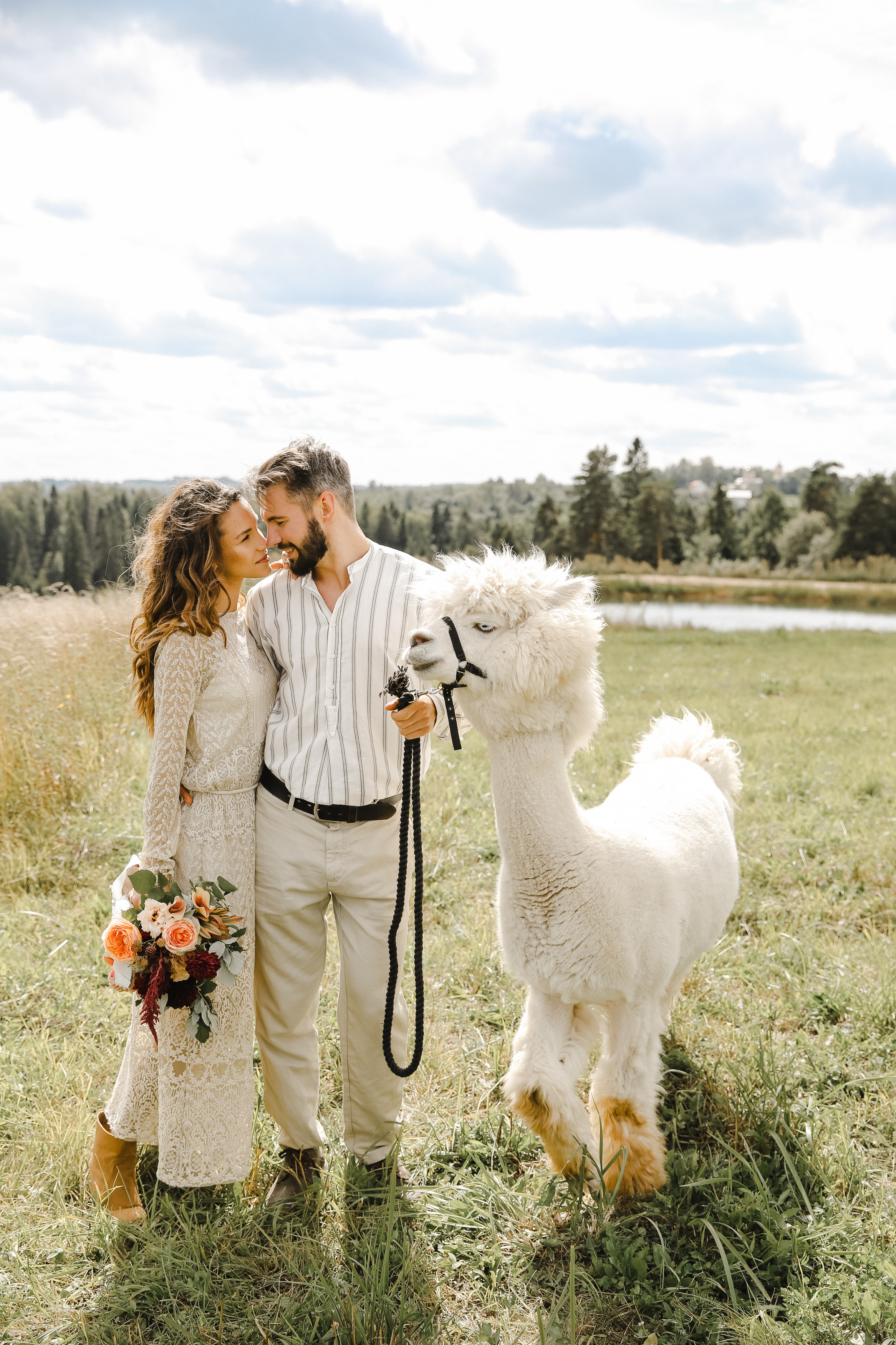 Ферма Альпаков Подмосковье. Фотограф и видеограф Анна Домашенко