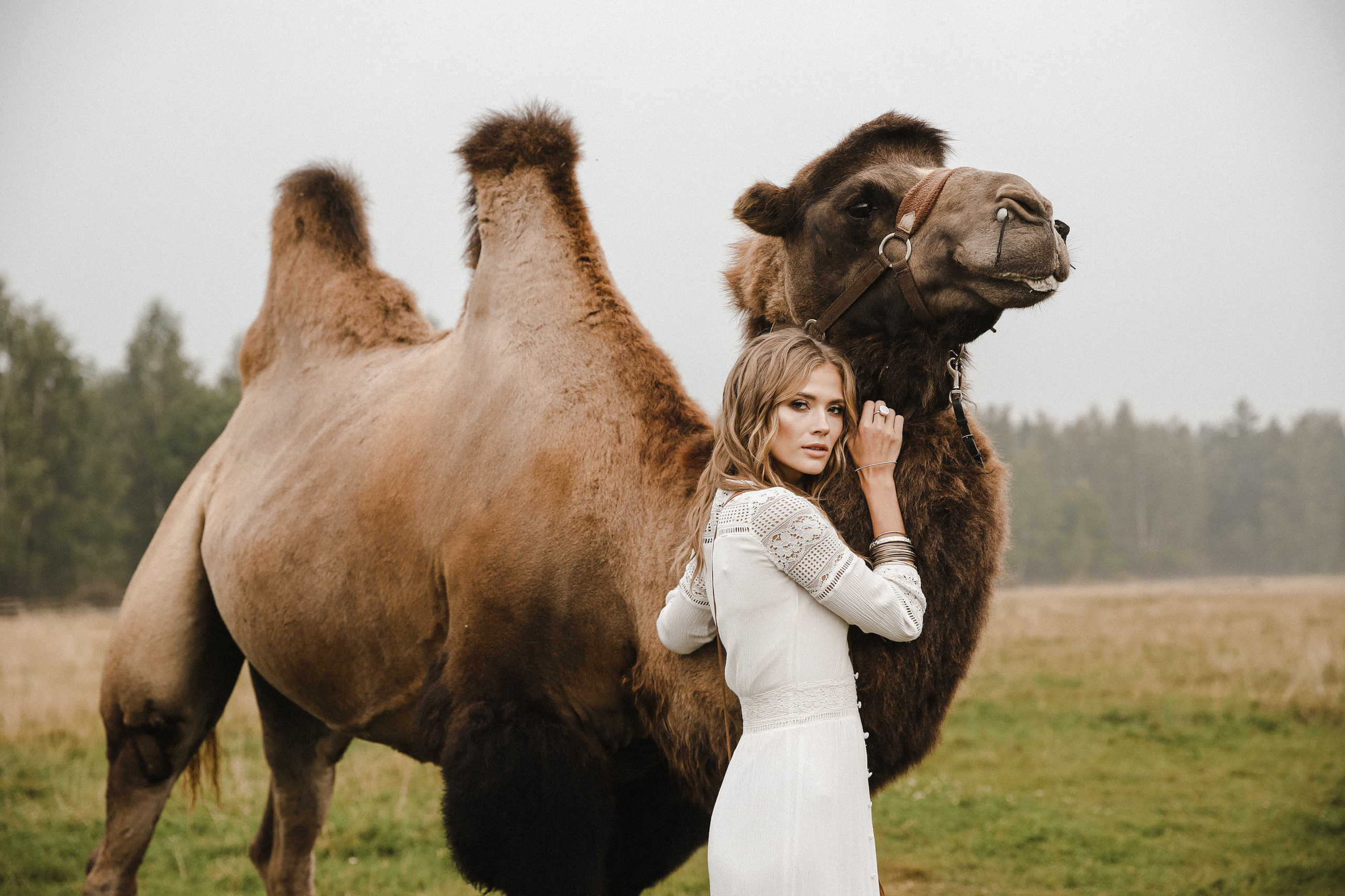 Сергей и Даша. Фотограф и видеограф Анна Домашенко