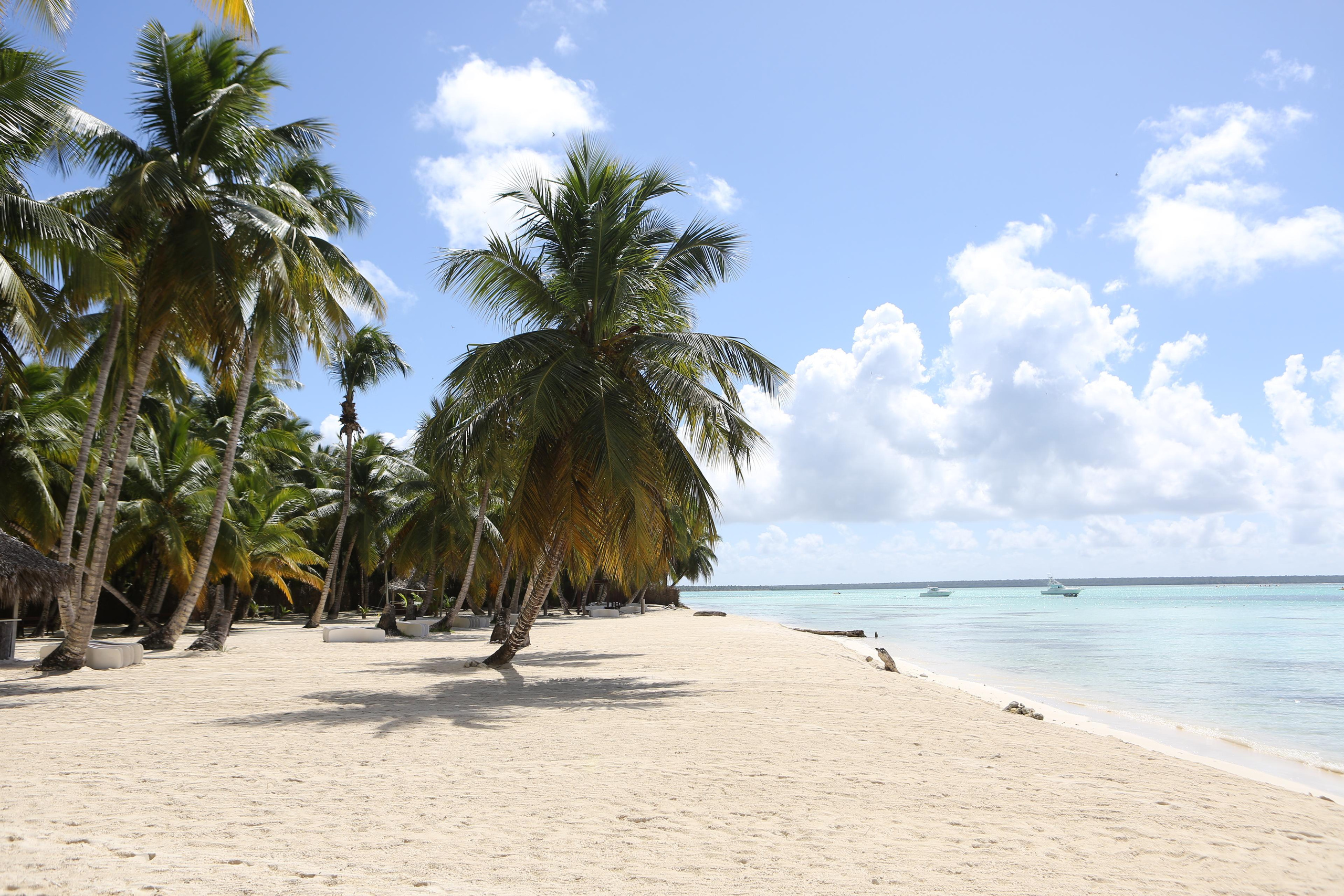 Лаборатория Касперского Доминикана SAS. Фотограф и видеограф Анна Домашенко