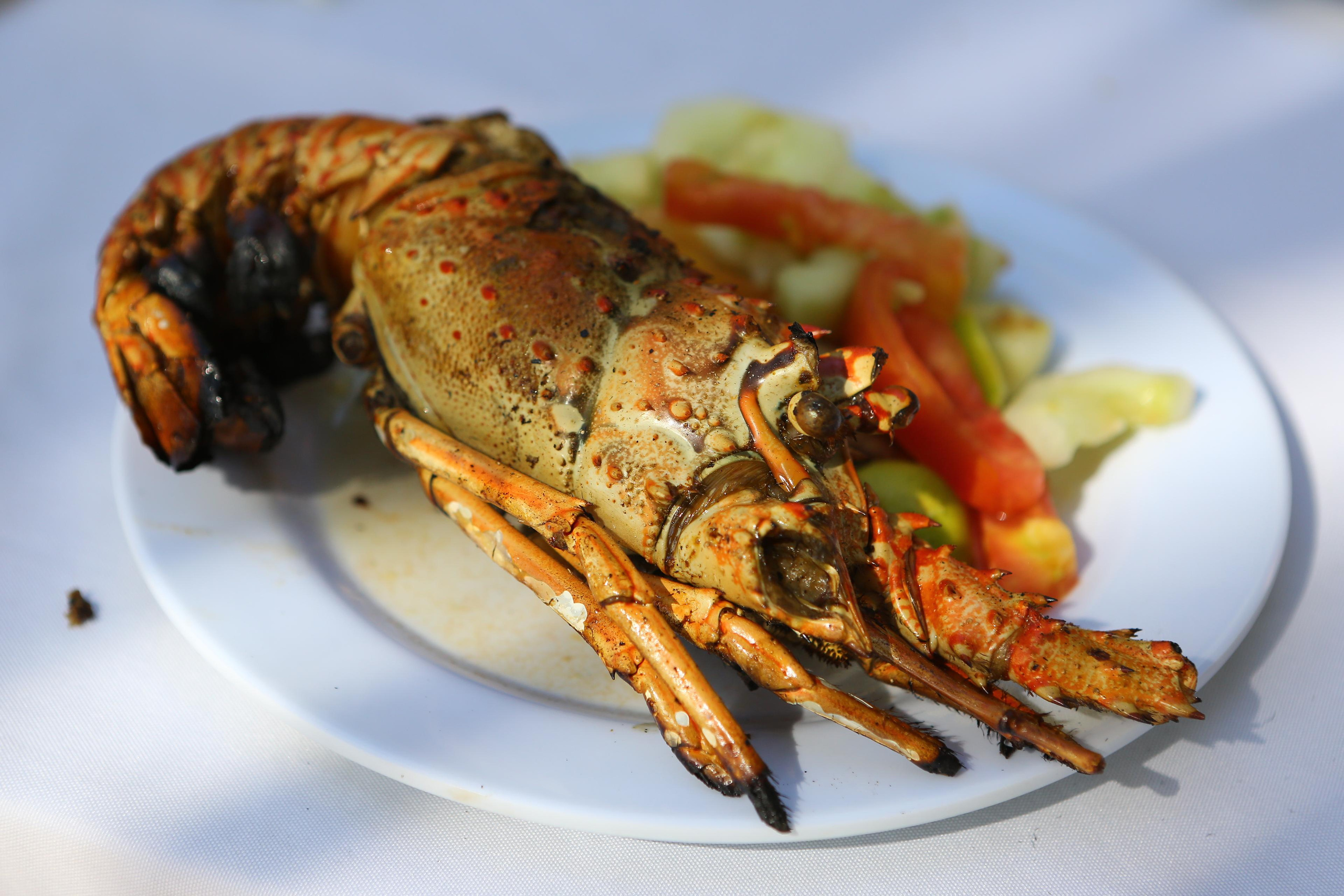 Лаборатория Касперского Доминикана SAS. Фотограф и видеограф Анна Домашенко