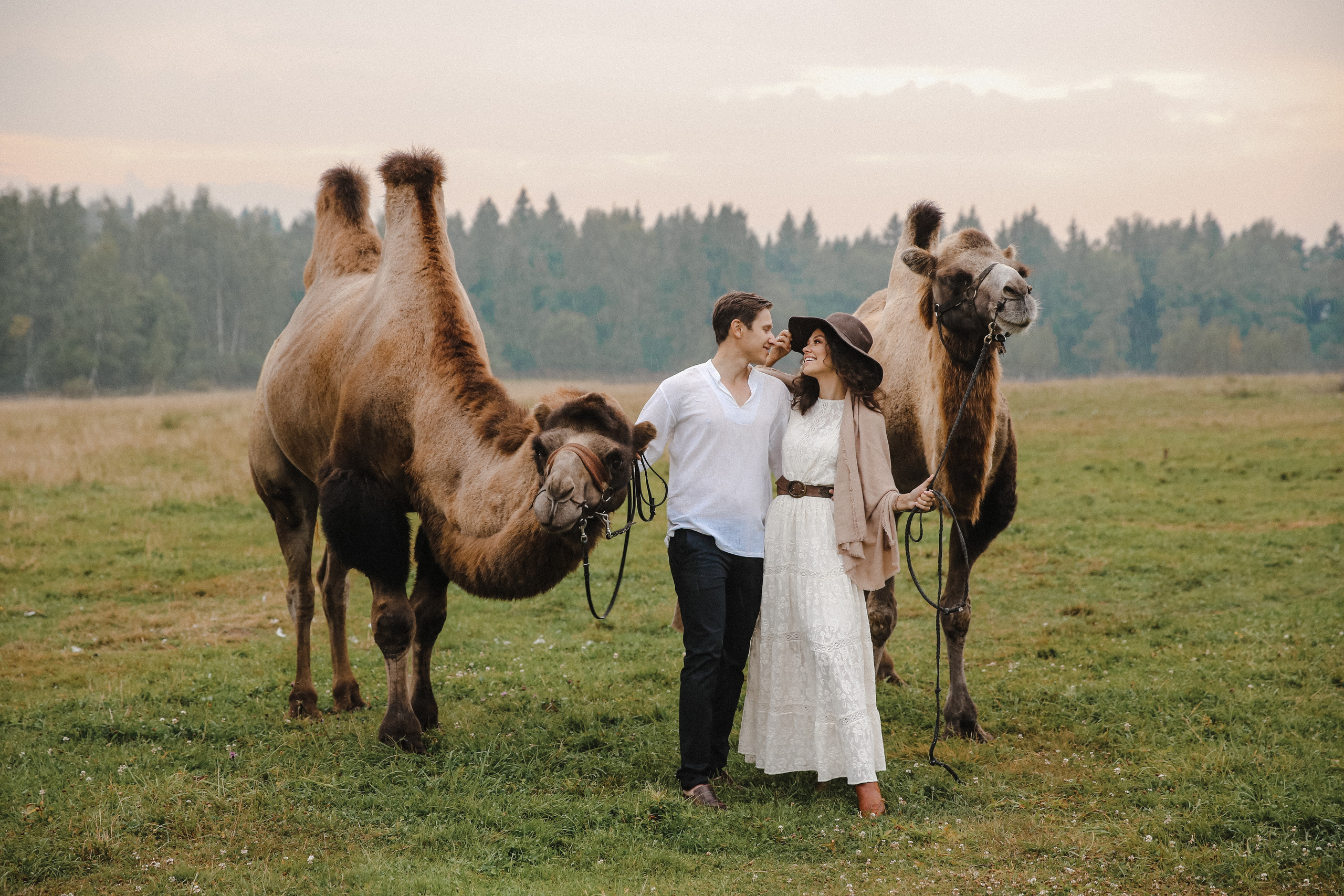 Кирилл и Катя. Фотограф и видеограф Анна Домашенко