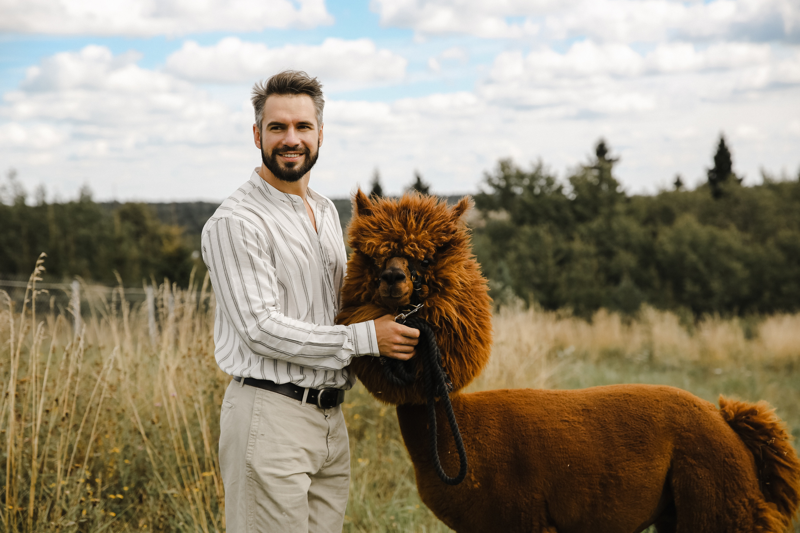 Ферма Альпаков Подмосковье. Фотограф и видеограф Анна Домашенко
