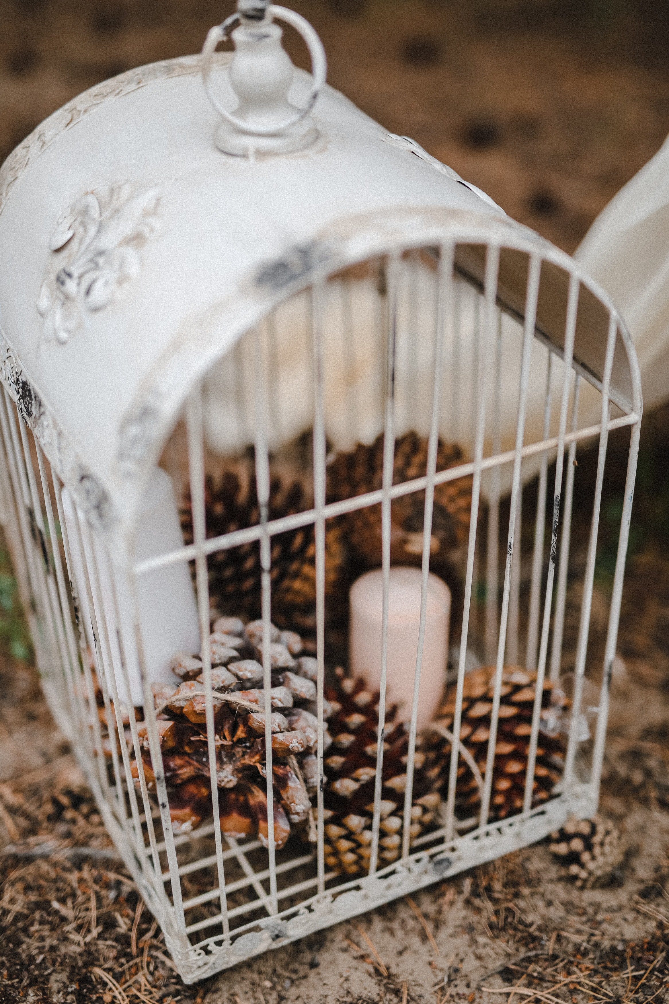 Свадьба в Сосновом Бору. Павел и Татьяна. Фотограф и видеограф Анна Домашенко